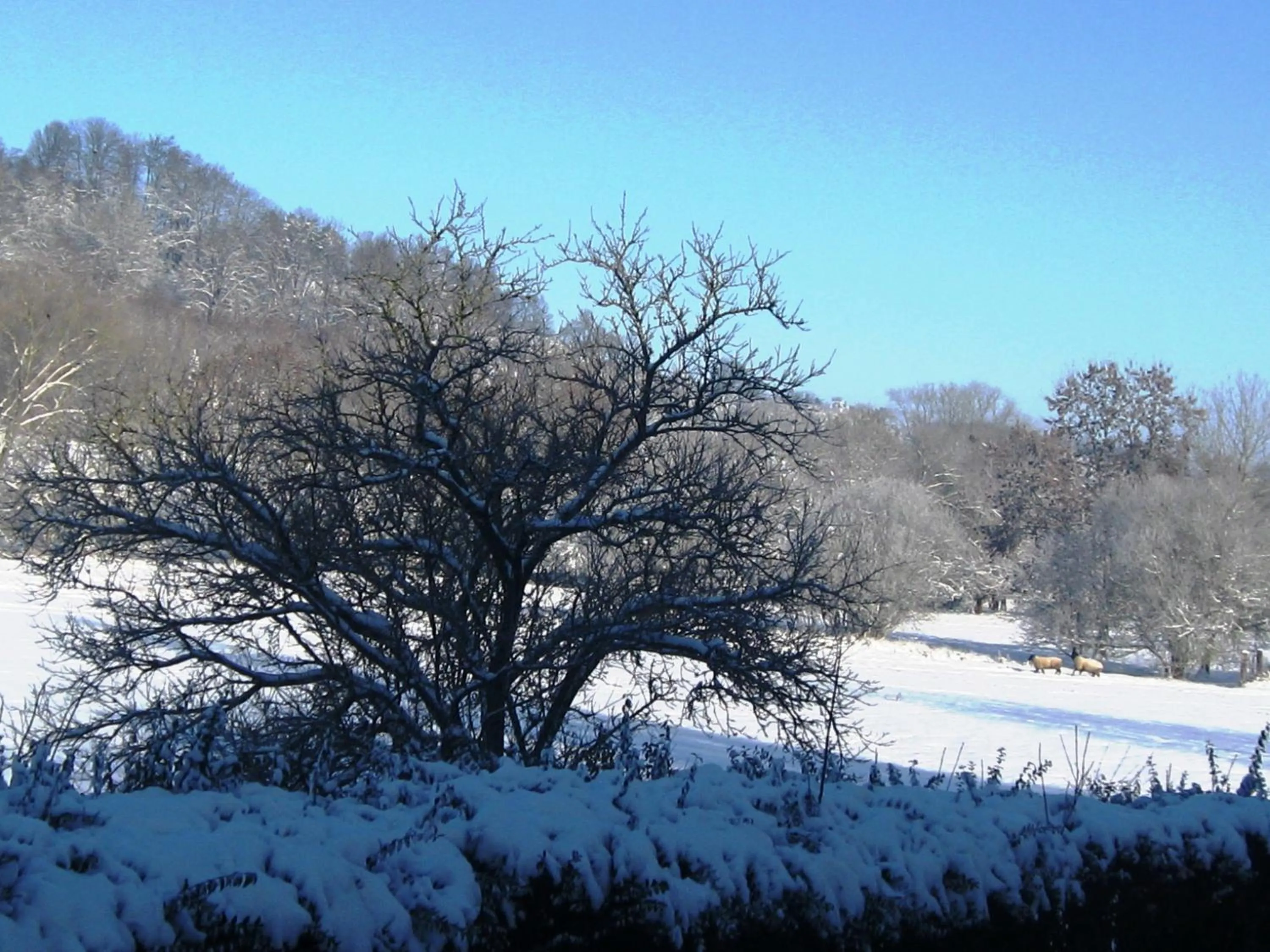 Winter in Auberge Du Parc