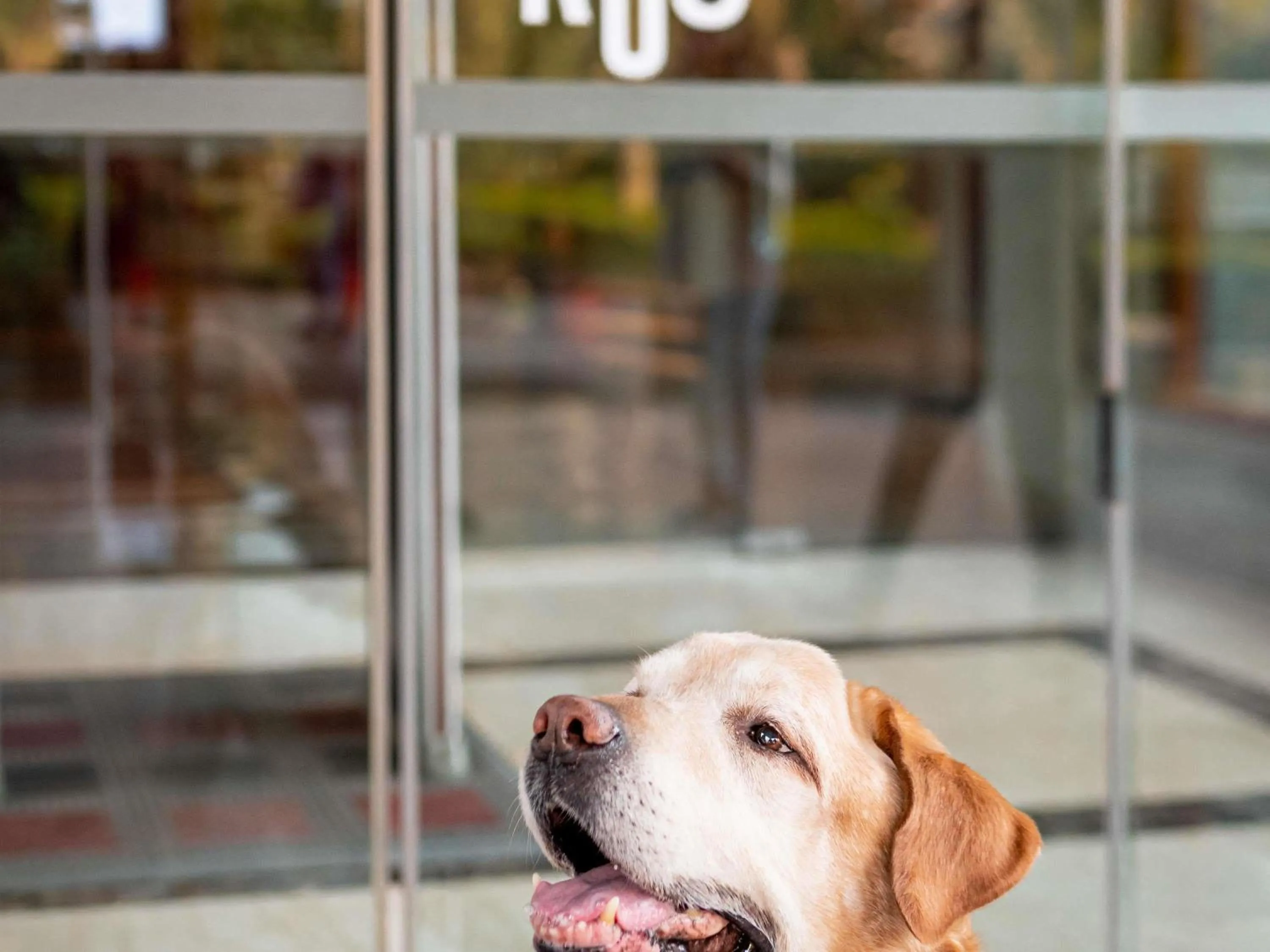 Other in ibis Hotel Regensburg City