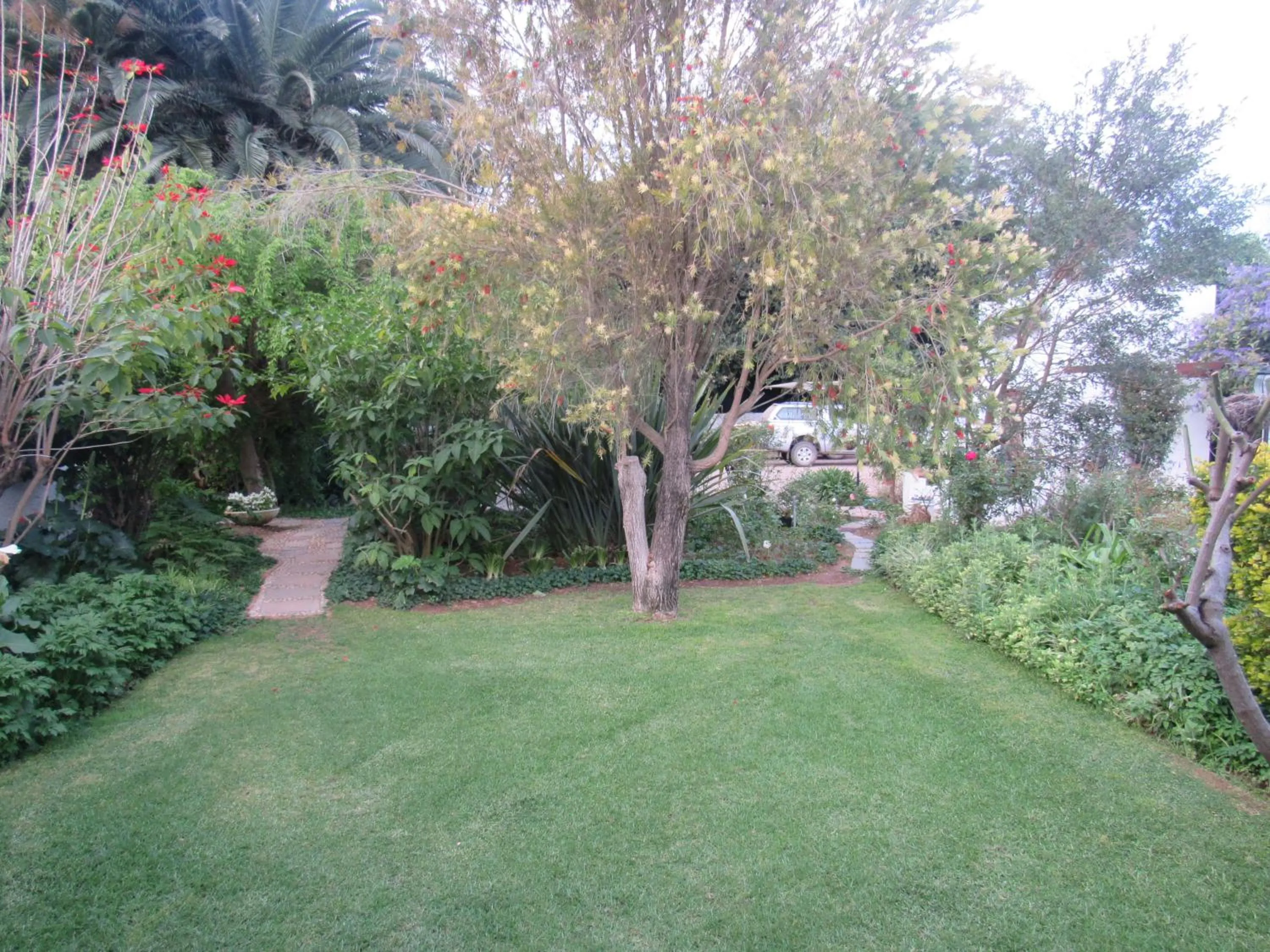 Garden view in Happy Lands Farmstay