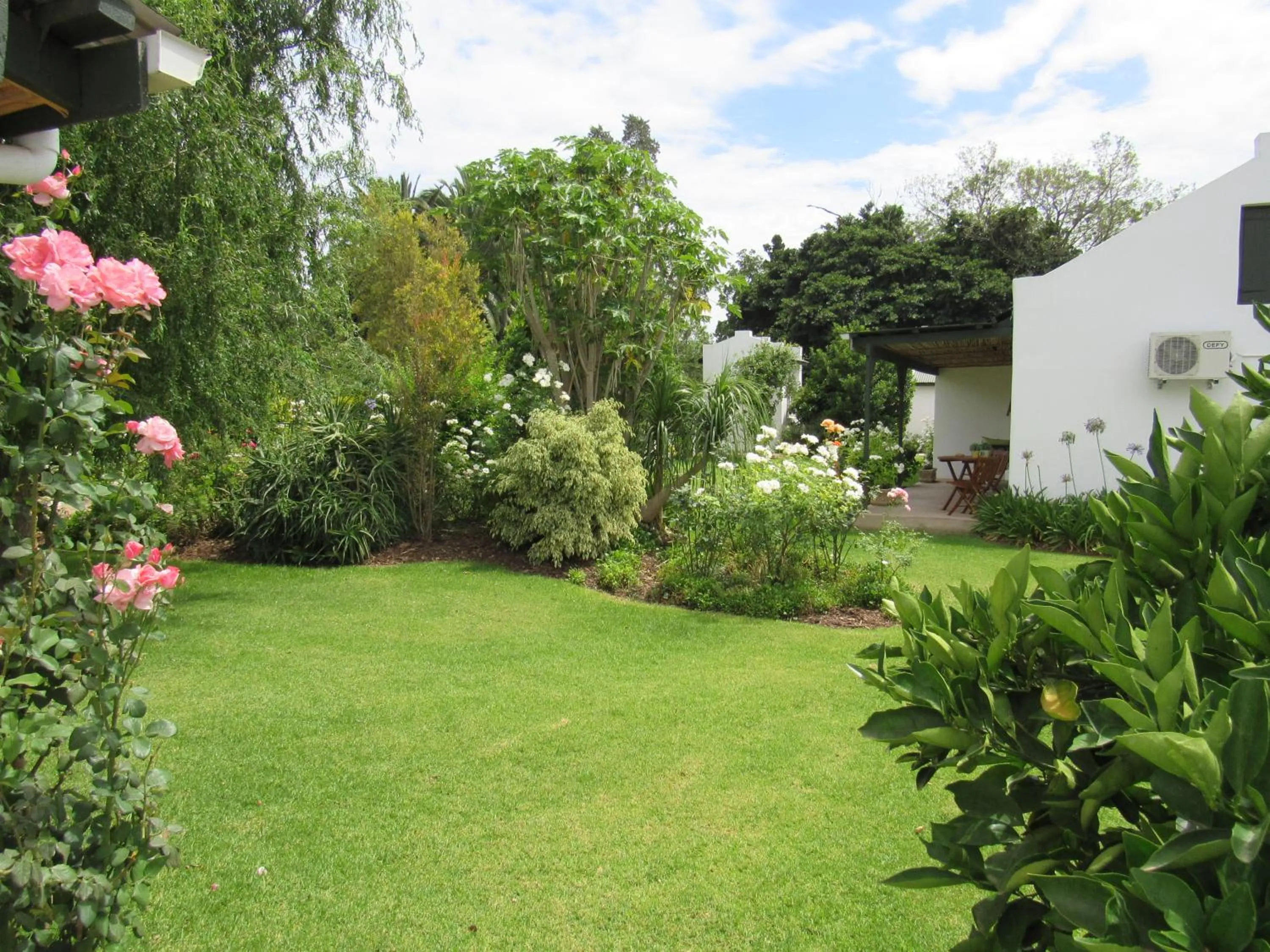 Garden in Happy Lands Farmstay