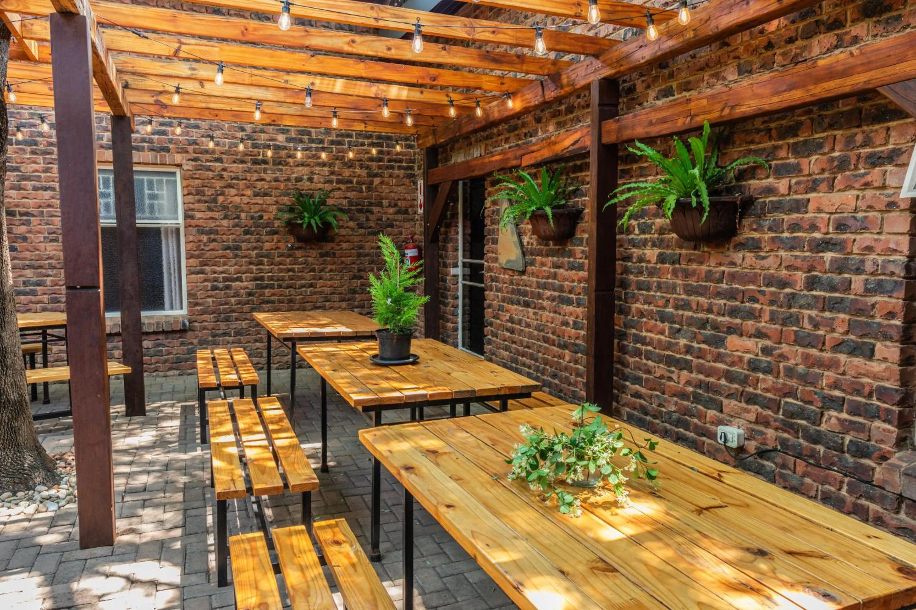 Restaurant/places to eat in Gorgeous Gecko Guesthouse