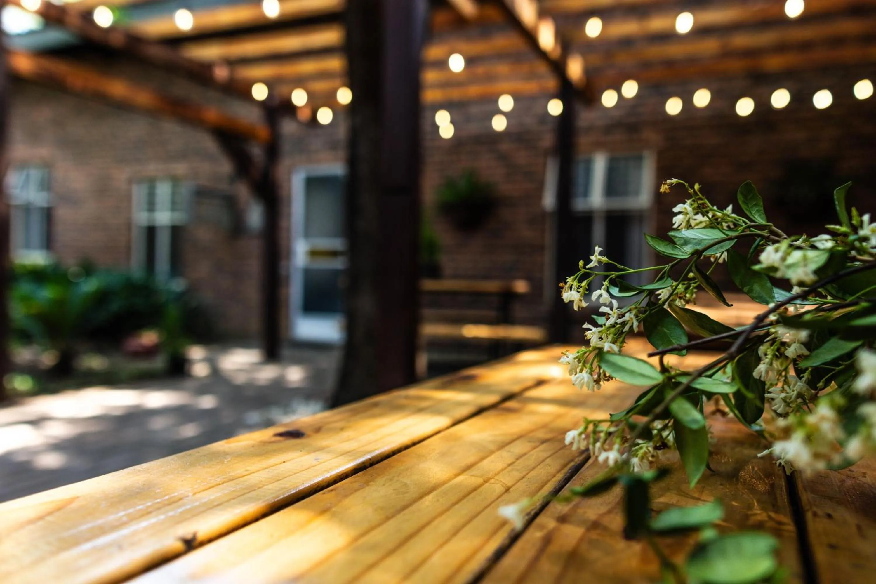 Property building in Gorgeous Gecko Guesthouse