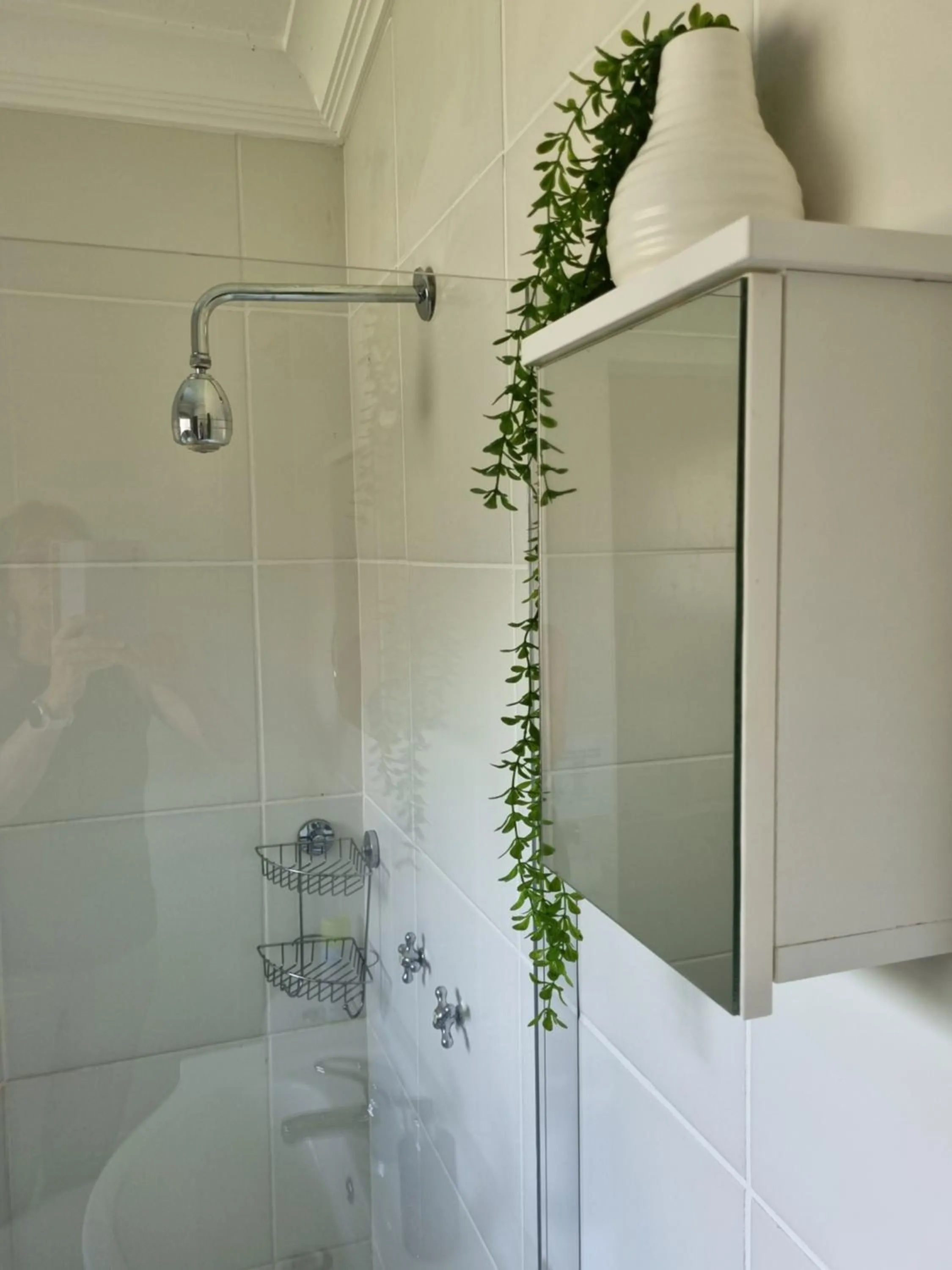 Shower in Gorgeous Gecko Guesthouse