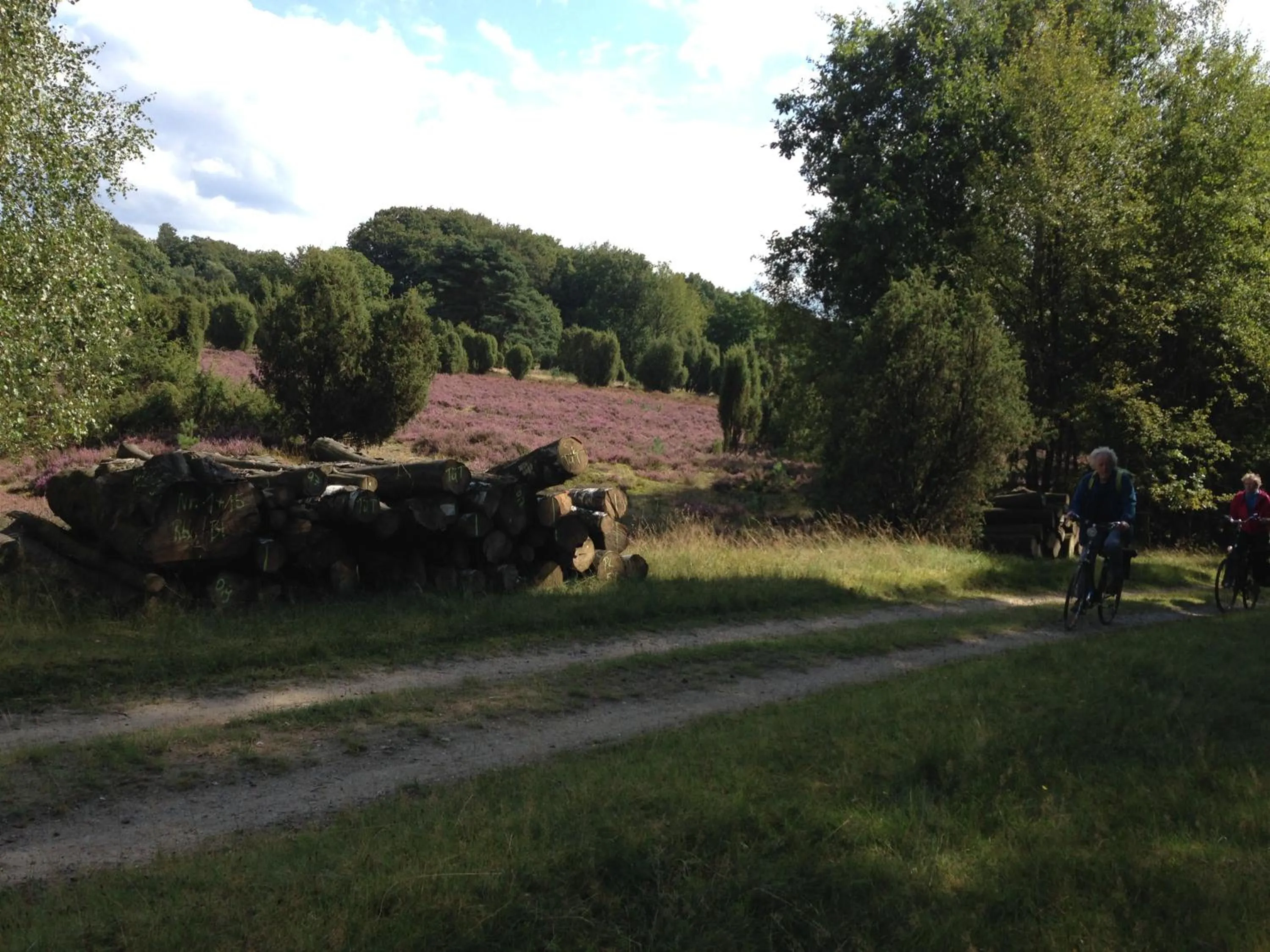 Nearby landmark in Neumanns Waldschänke