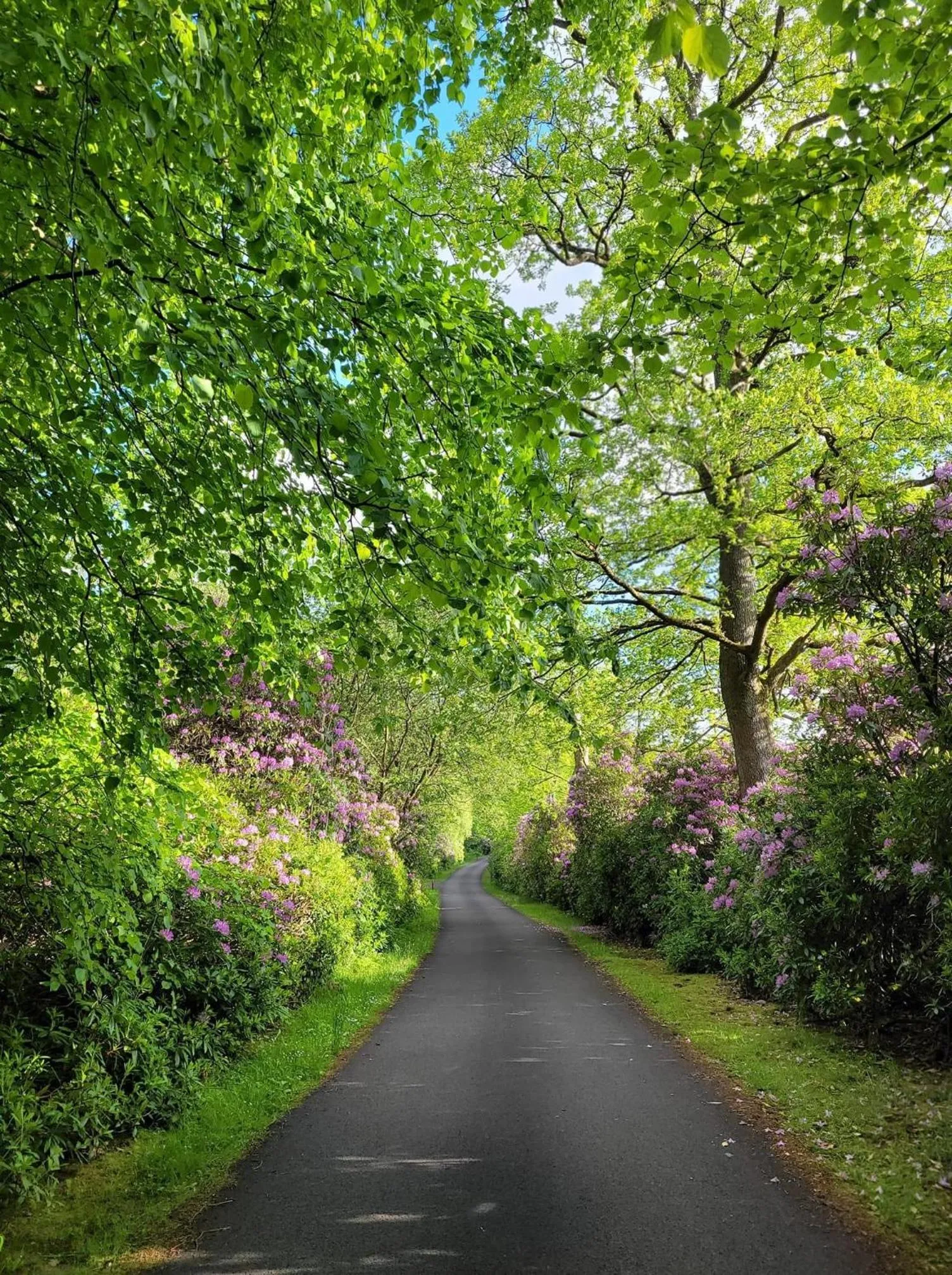Property building in The West Highland Way Pitches