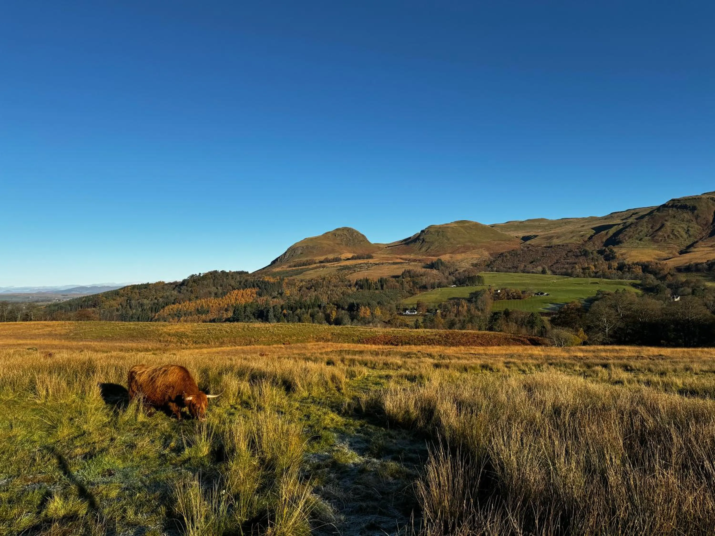 Nearby landmark in The West Highland Way Pitches