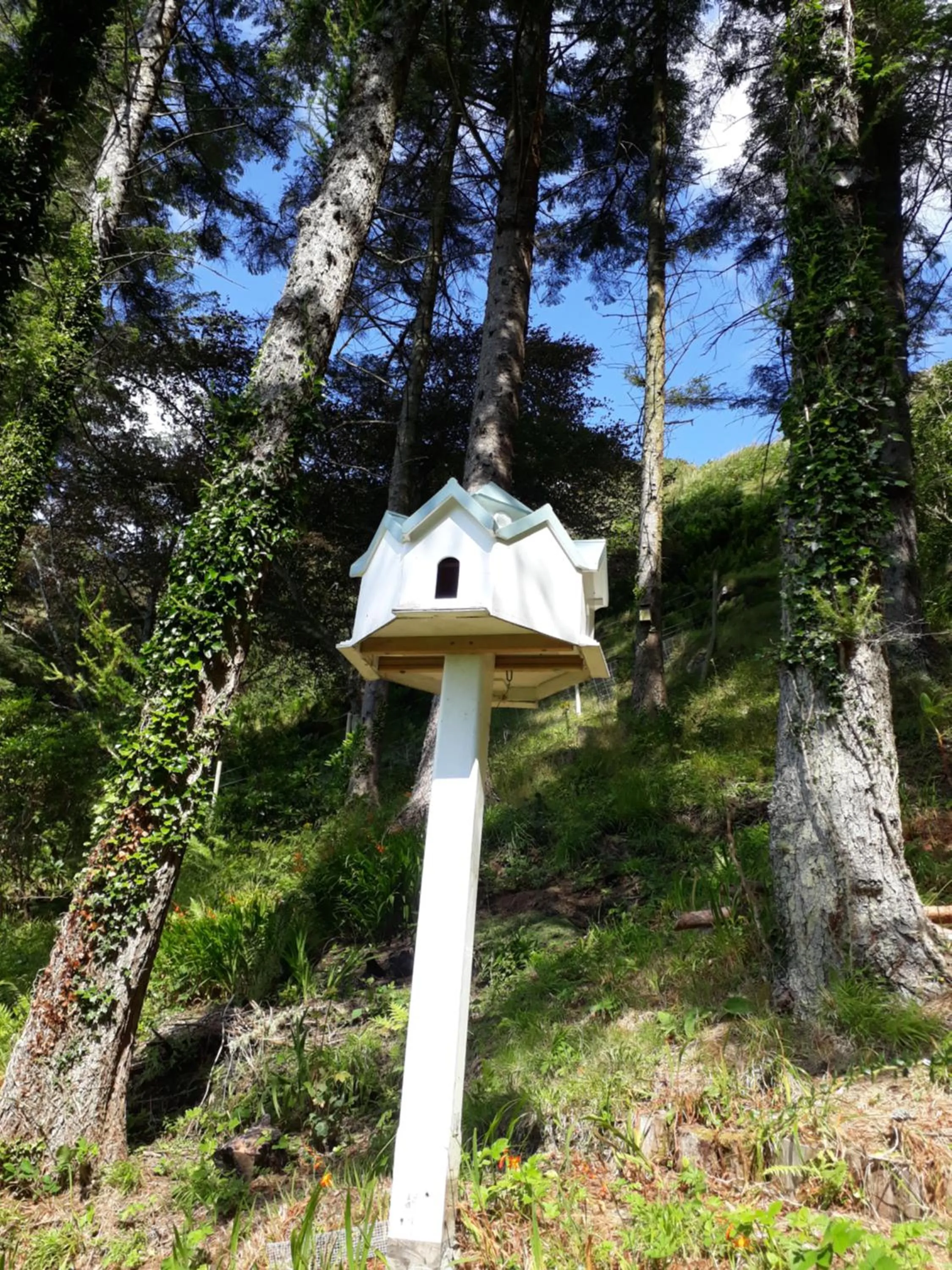 Nearby landmark in Garragh Mhor