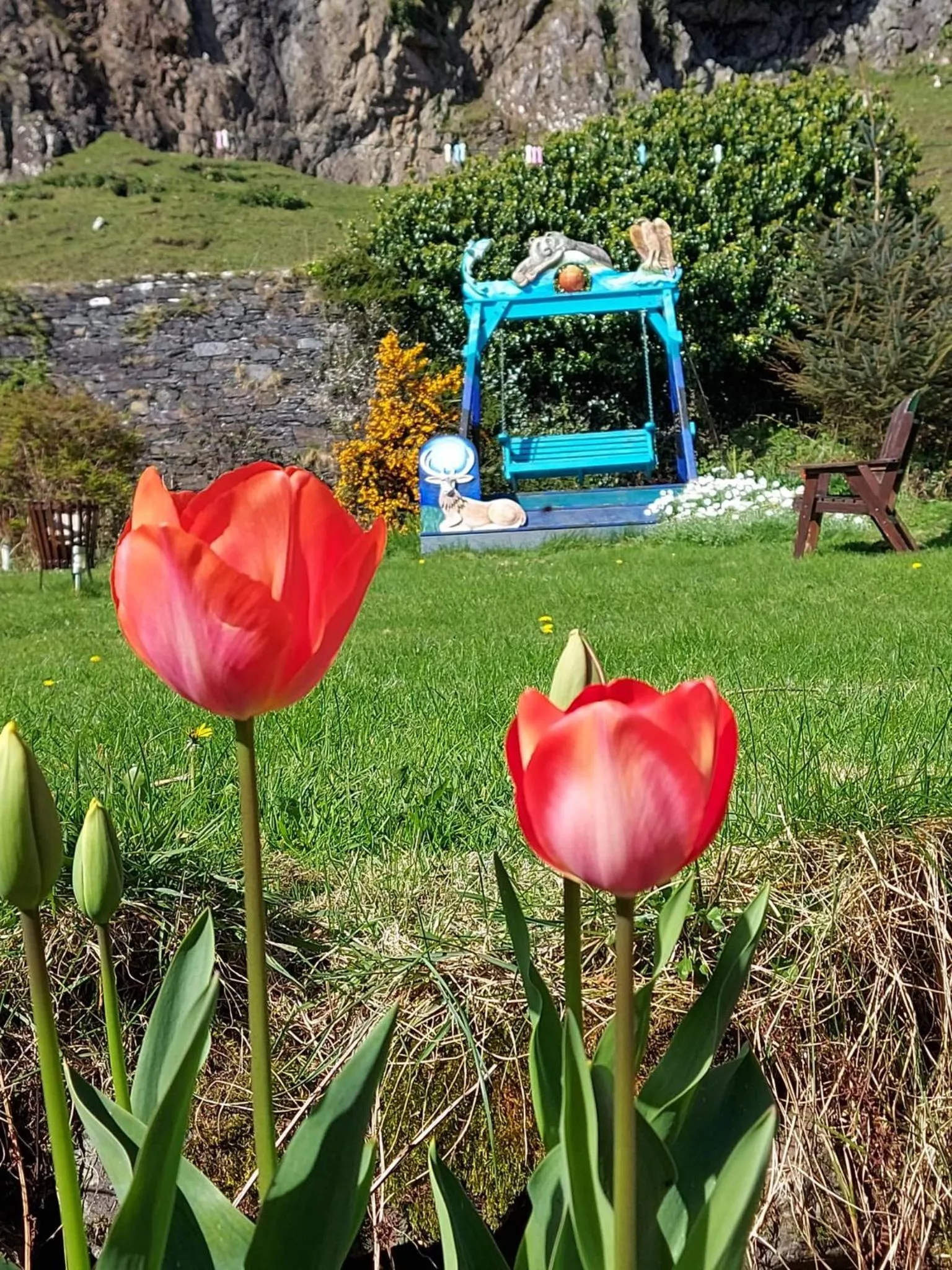 Garden in Garragh Mhor