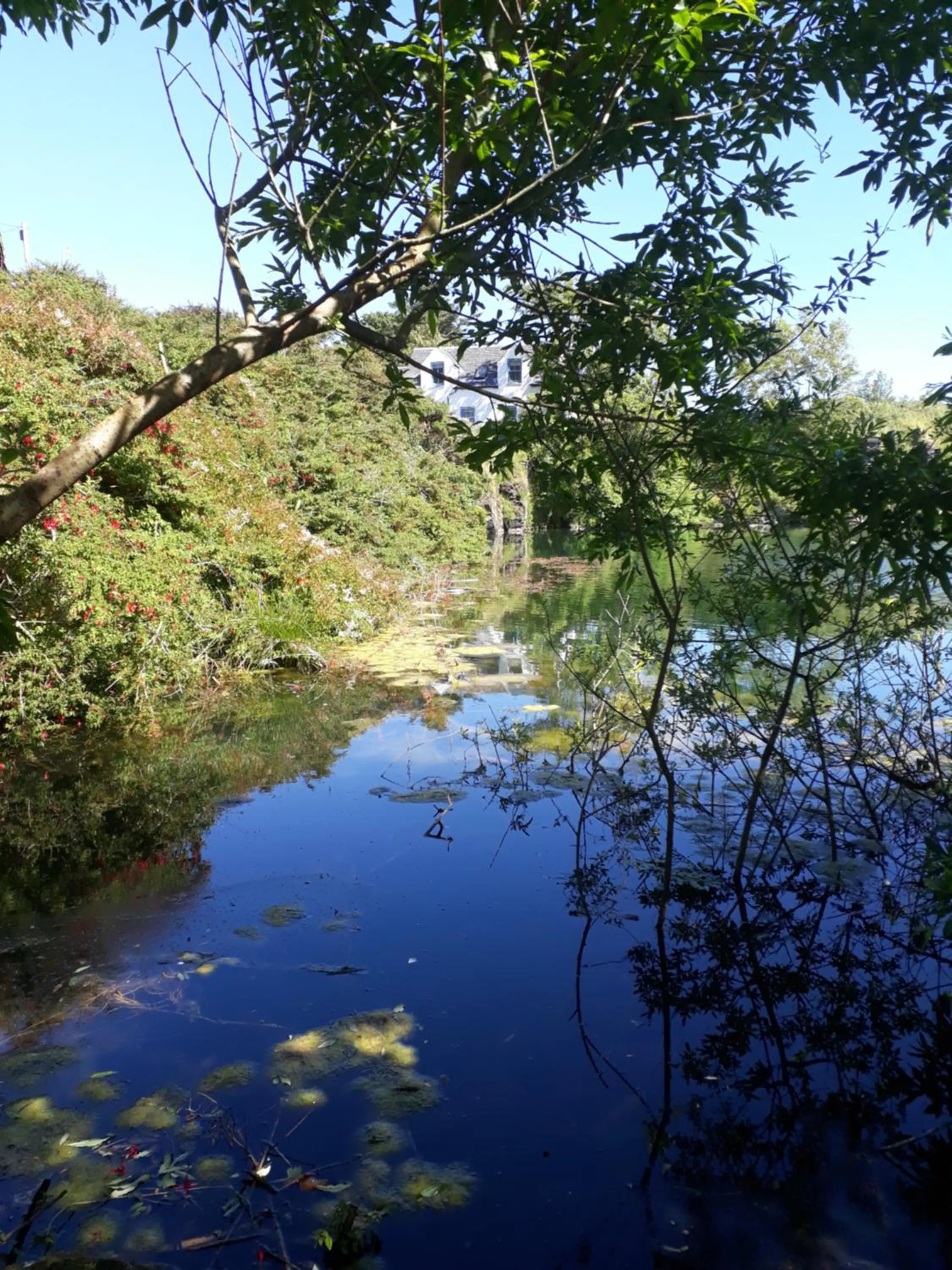 Spring in Garragh Mhor