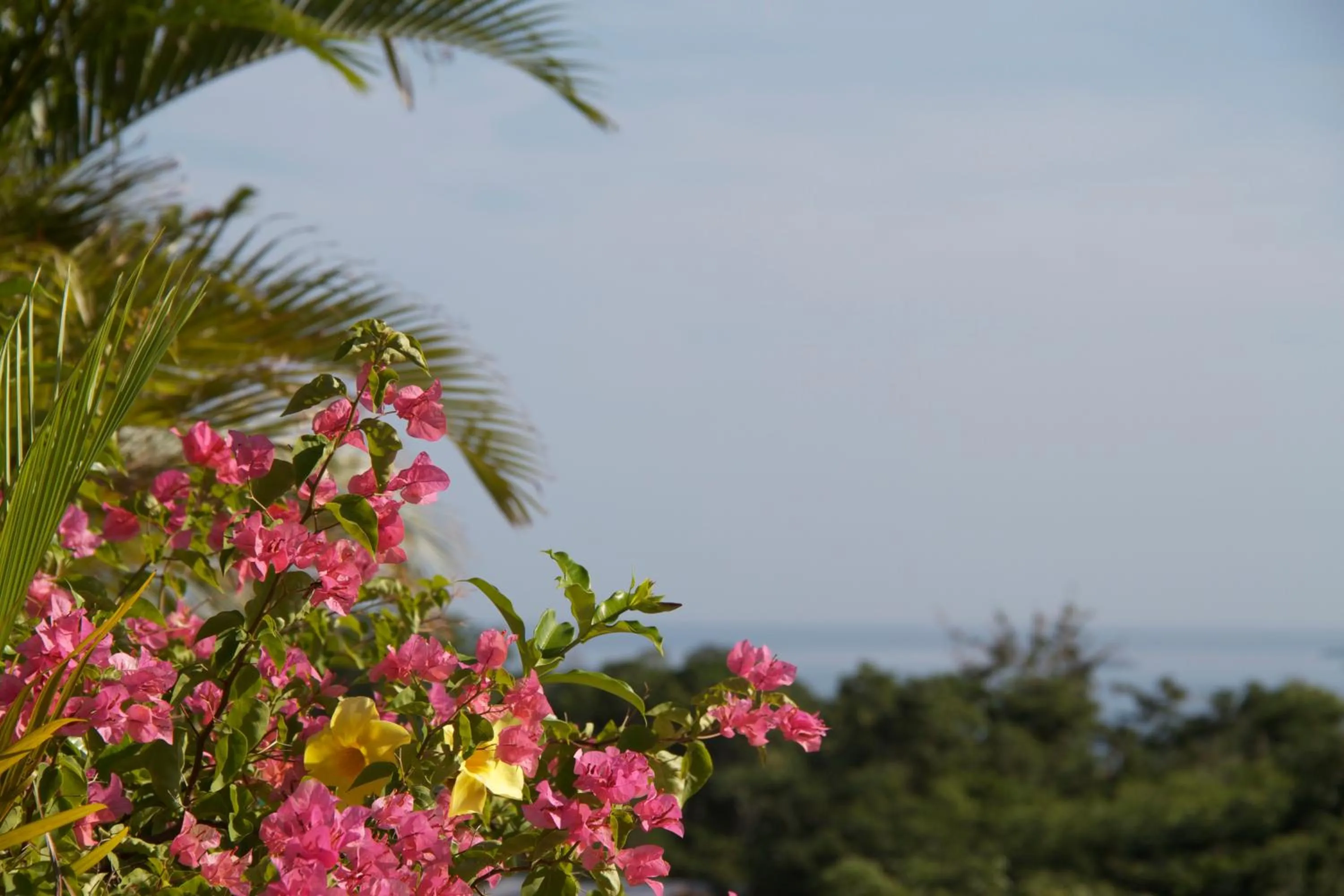 Natural landscape in Da Fabio