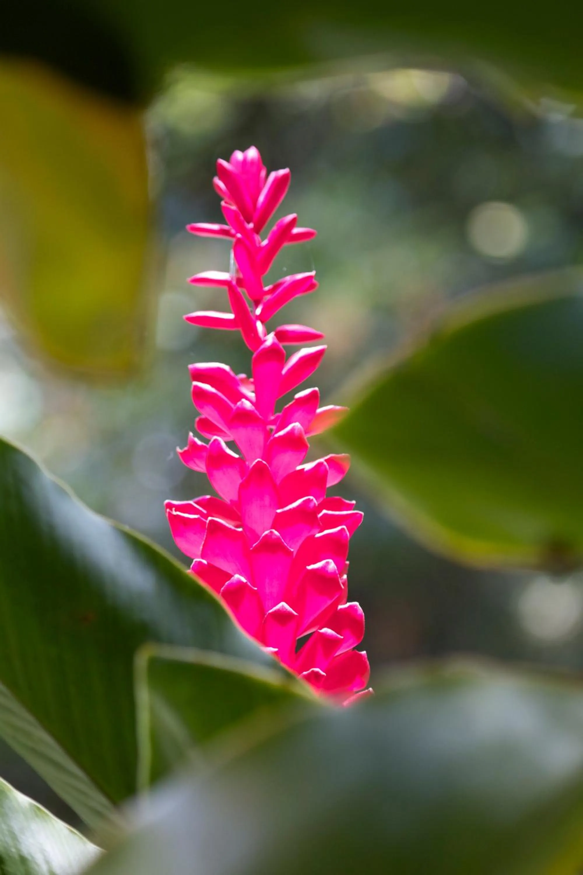 Natural landscape in Da Fabio