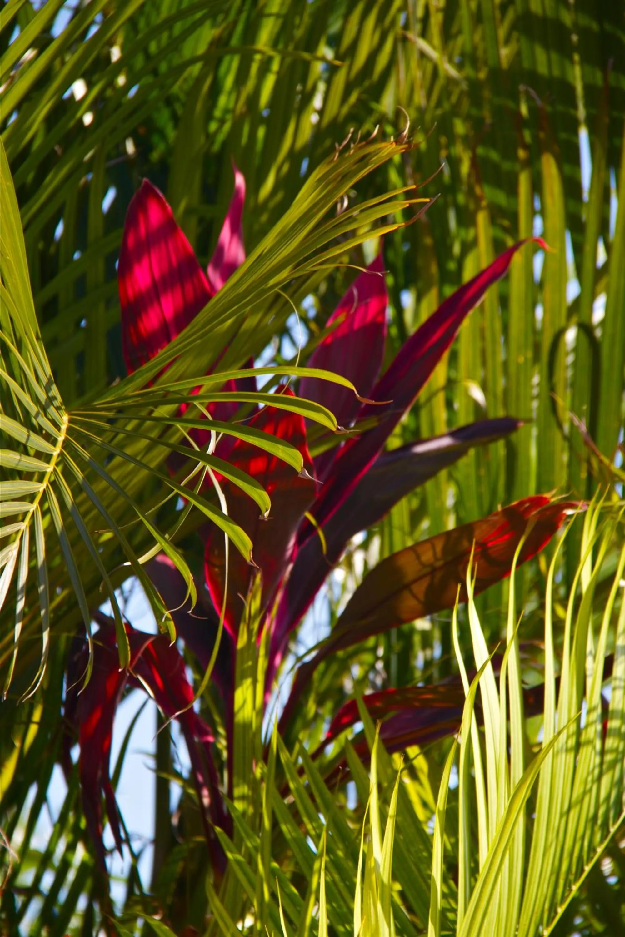 Natural landscape in Da Fabio