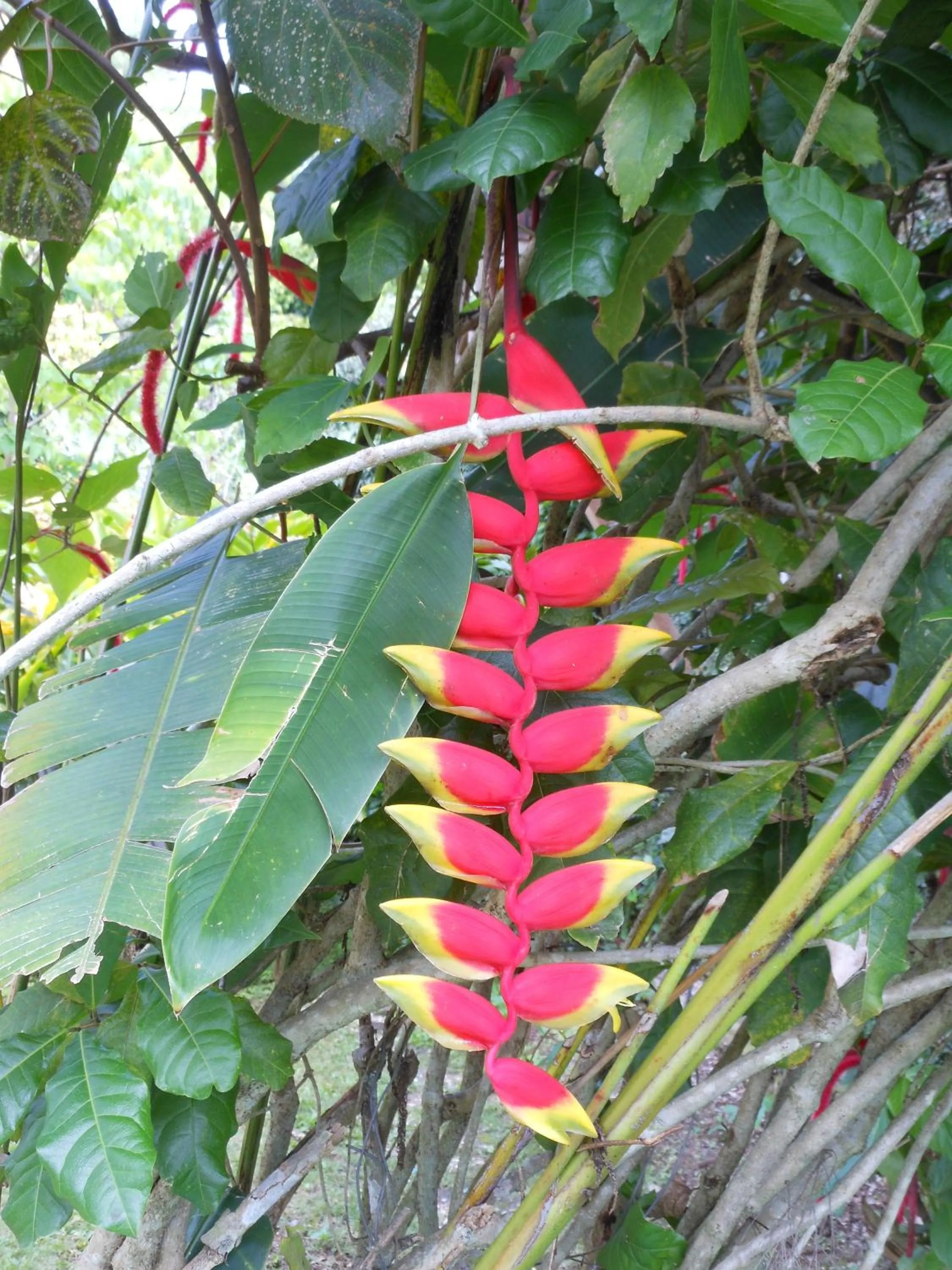 Facade/entrance in Da Fabio