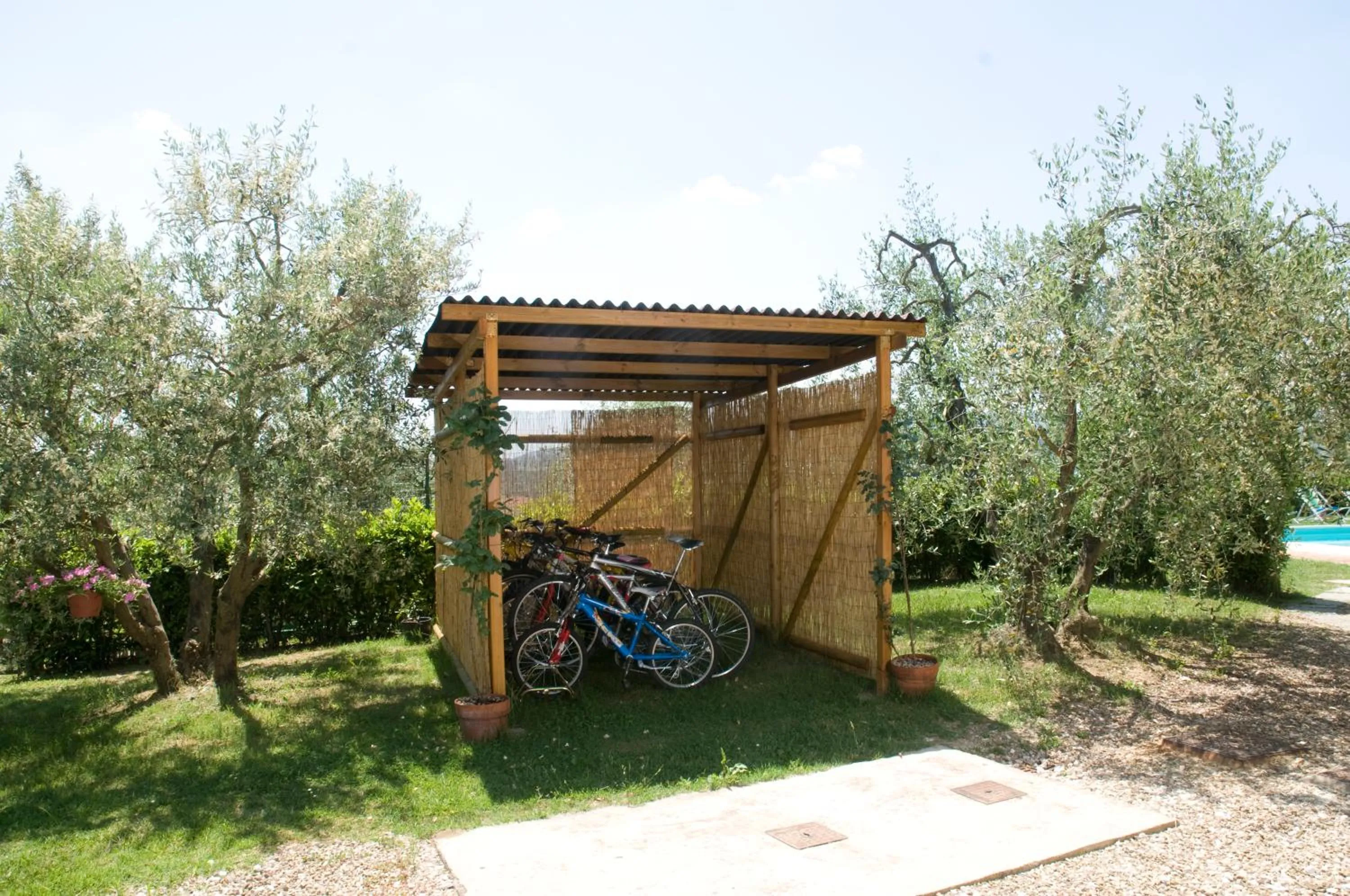 Cycling in Agriturismo Macinatico