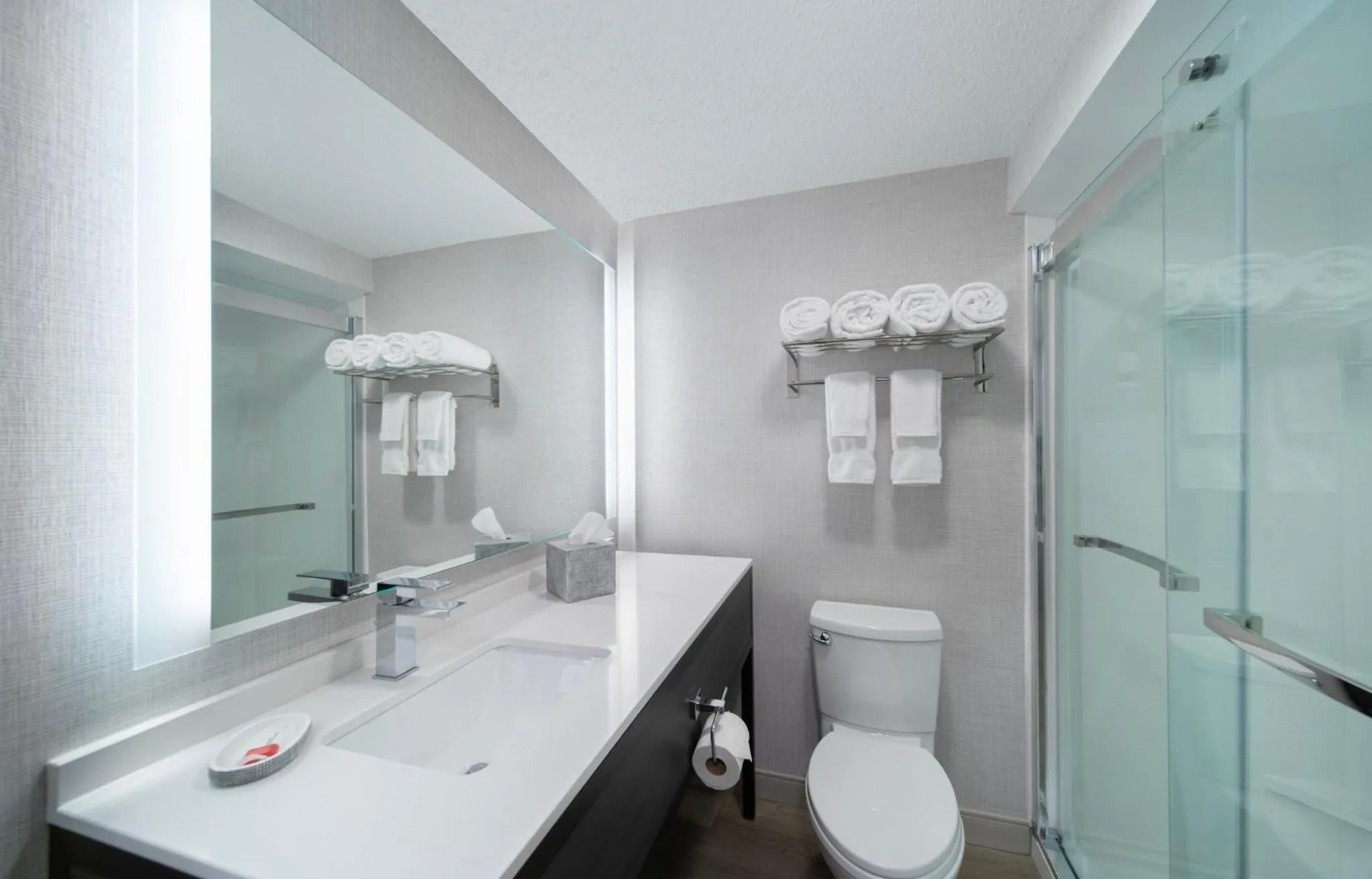 Bathroom in Holiday Inn Express South Burlington - Downtown by IHG