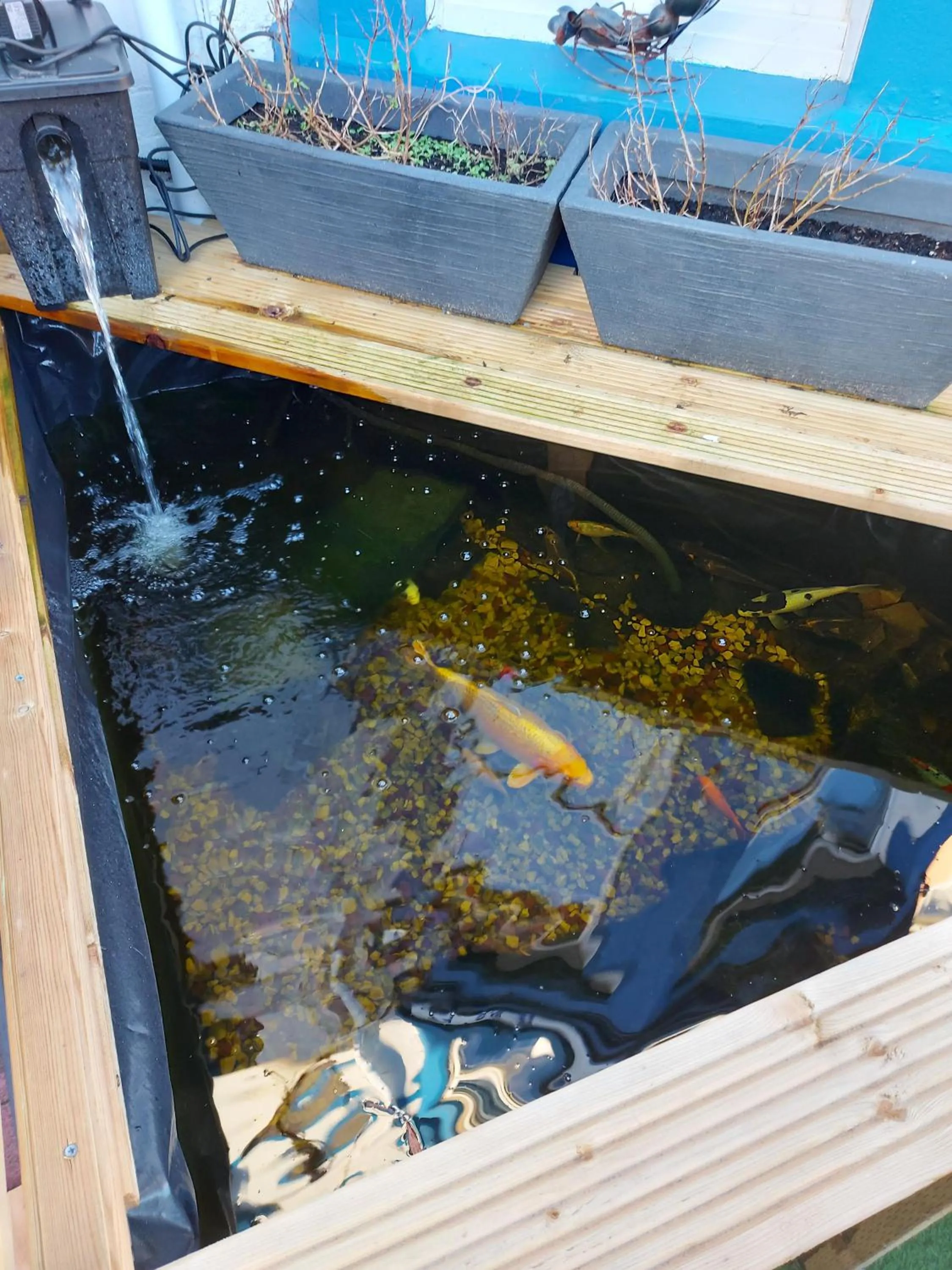 Garden in Rest and Welcome