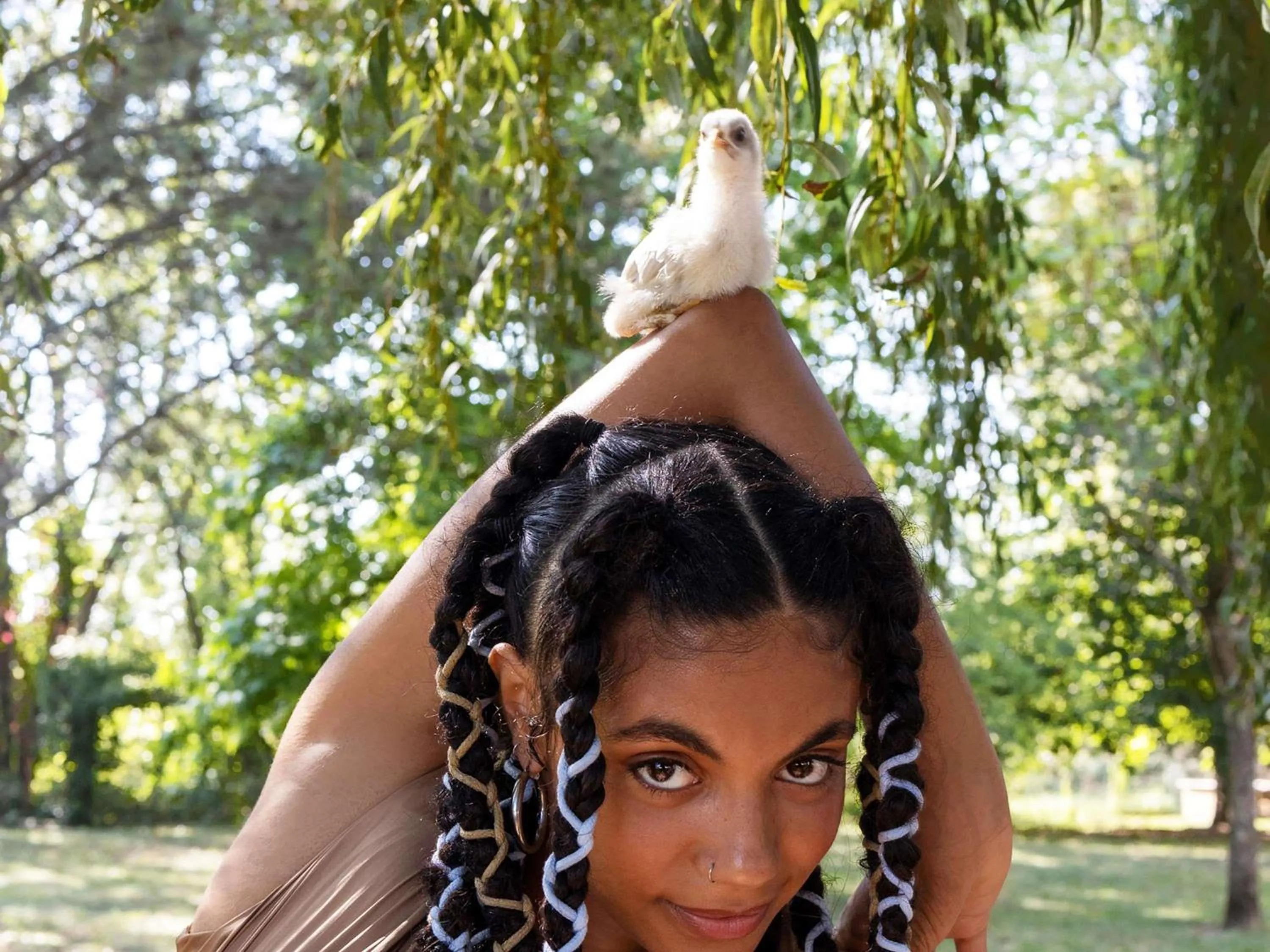 Other in Greet Hôtel Castres Saix