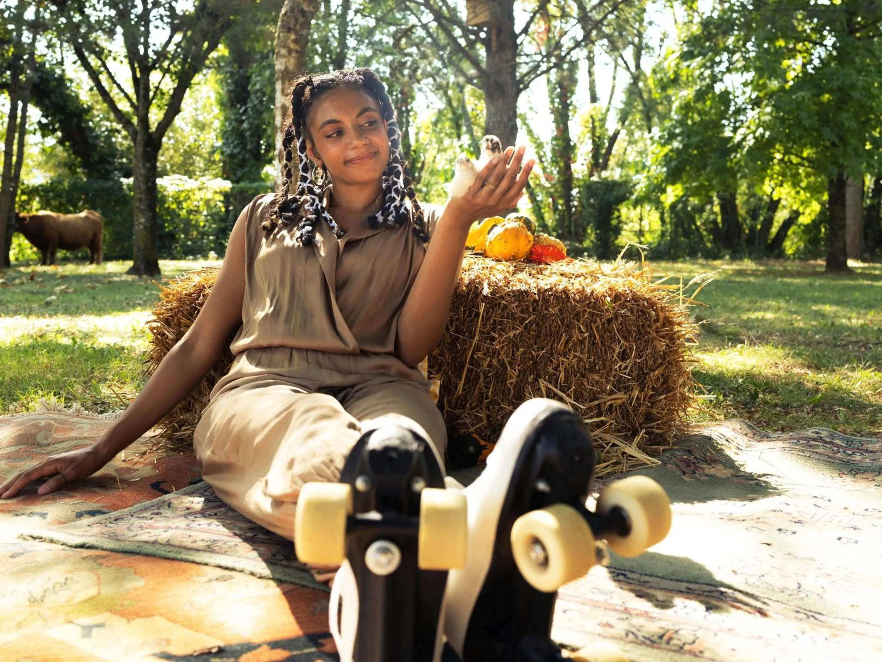 Other in Greet Hôtel Castres Saix