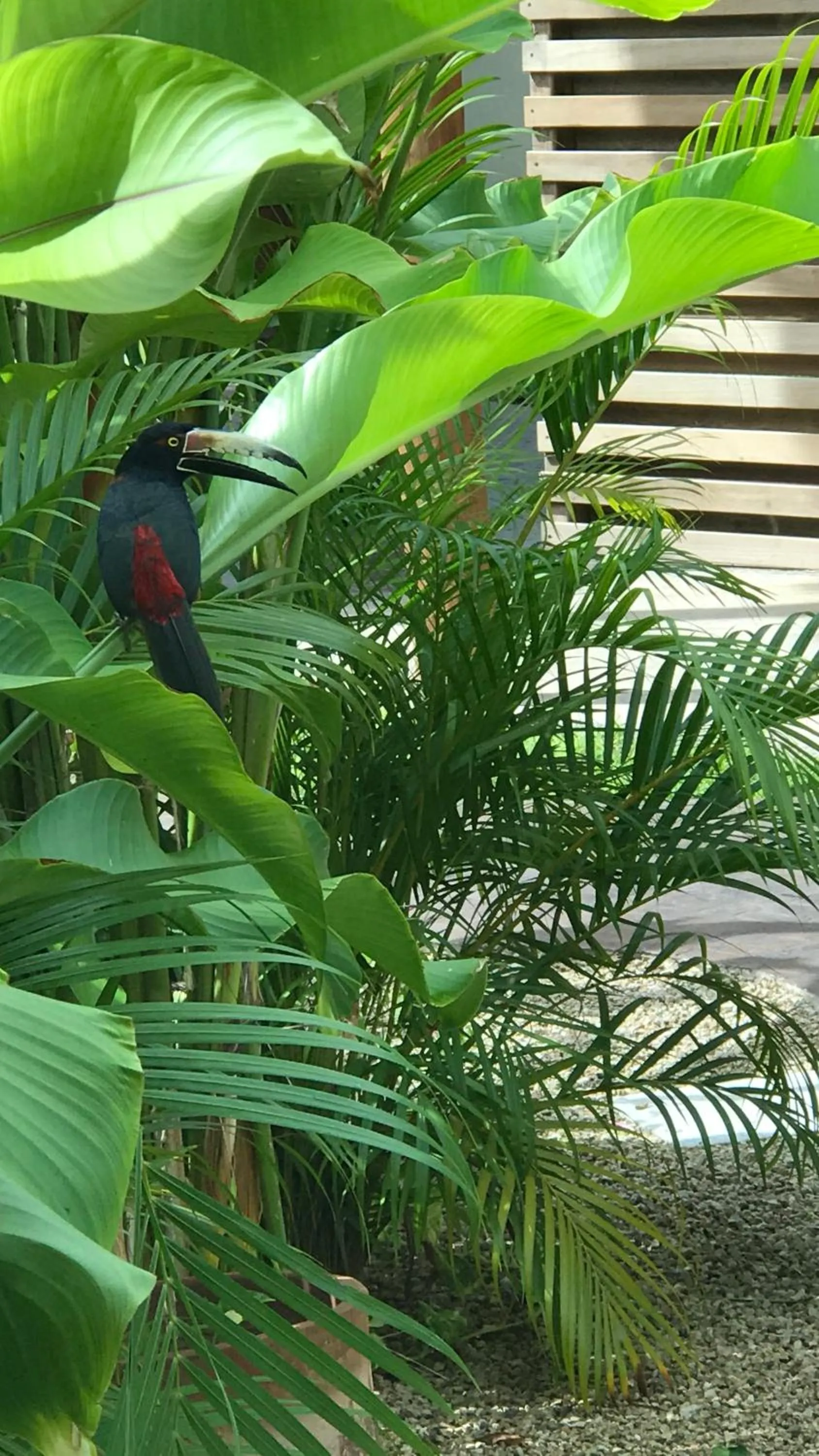 Garden in Poza Clara Sanctuary