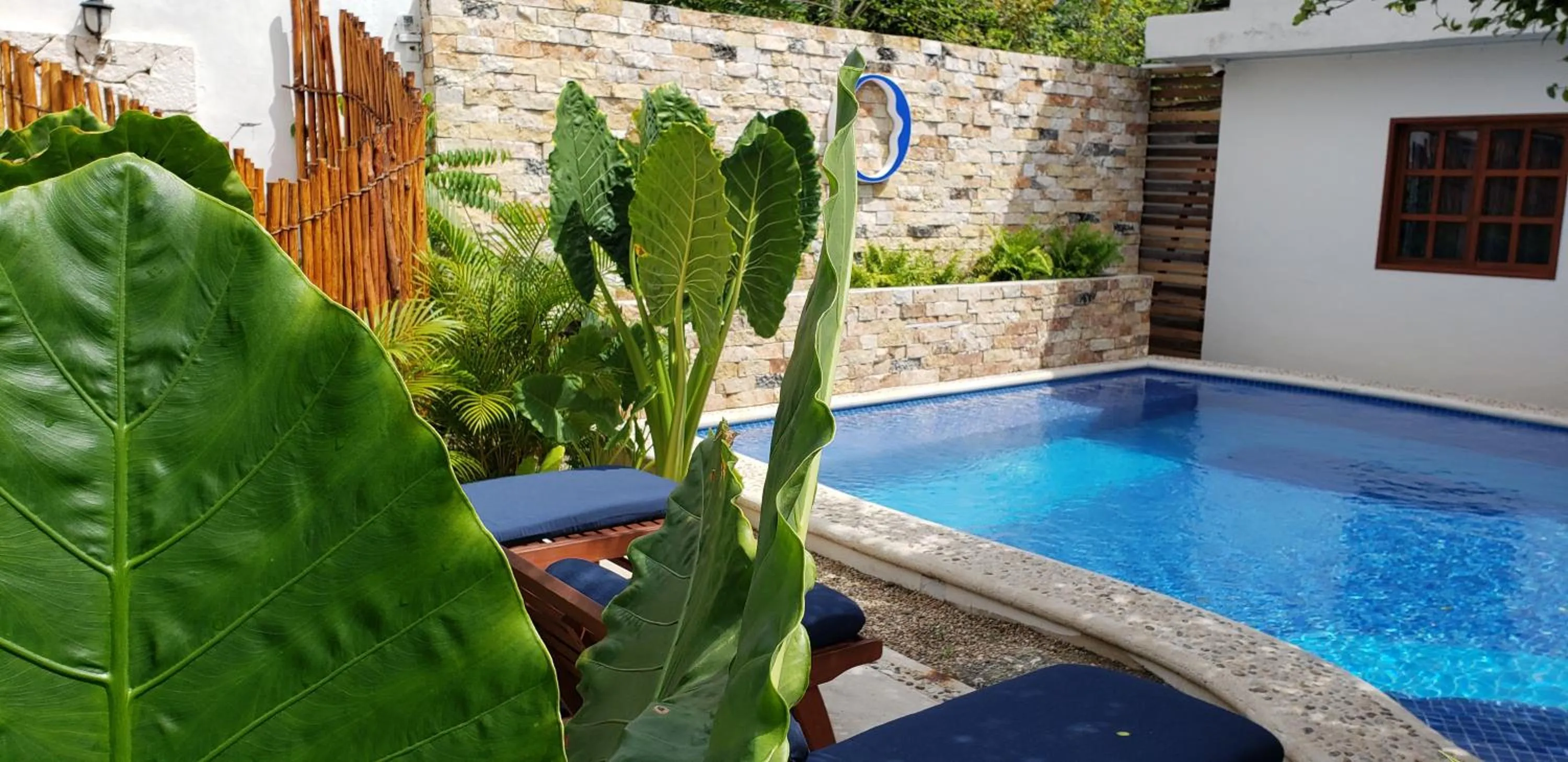 Swimming pool in Poza Clara Sanctuary