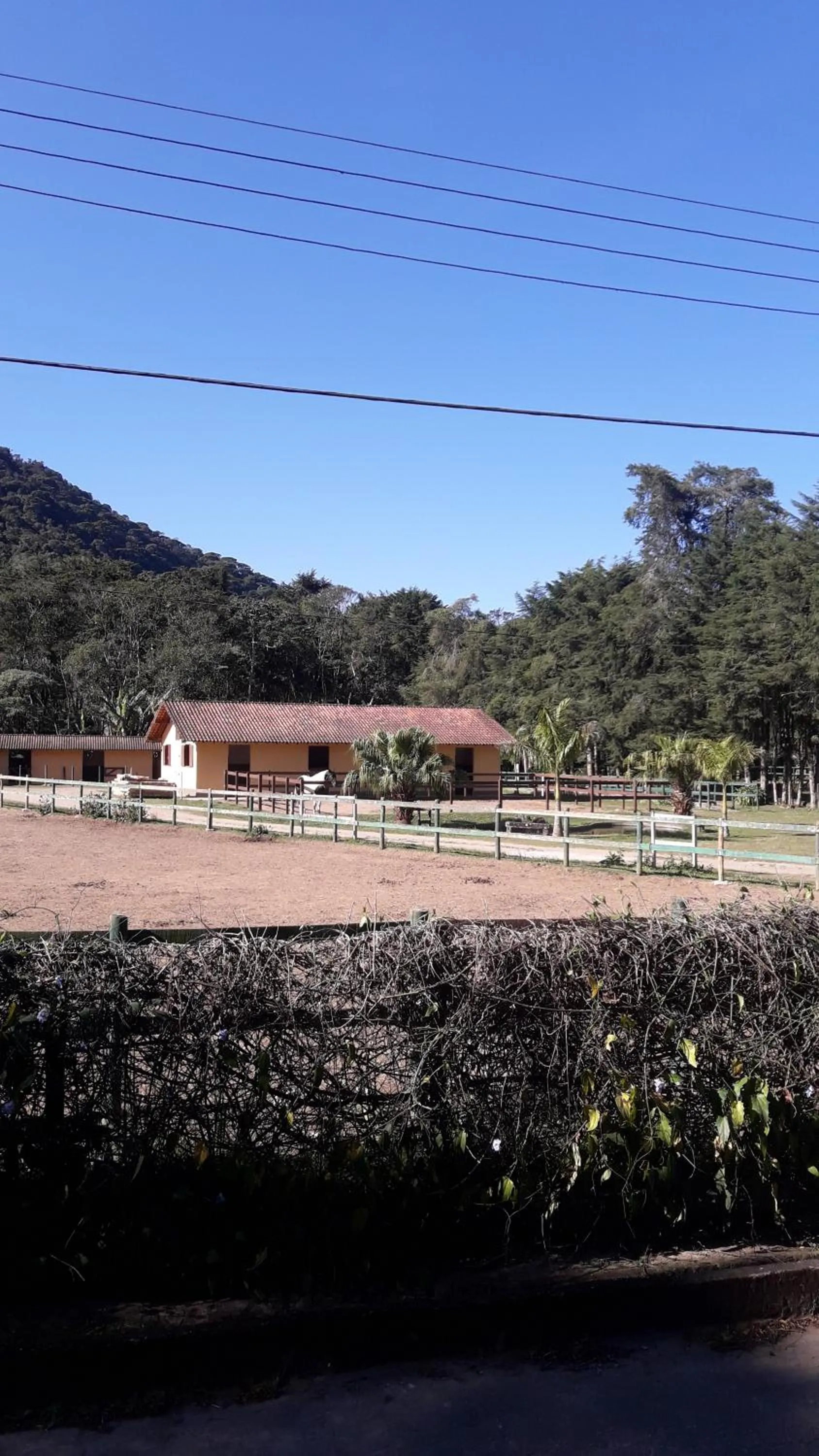 Other in Casa no Céu