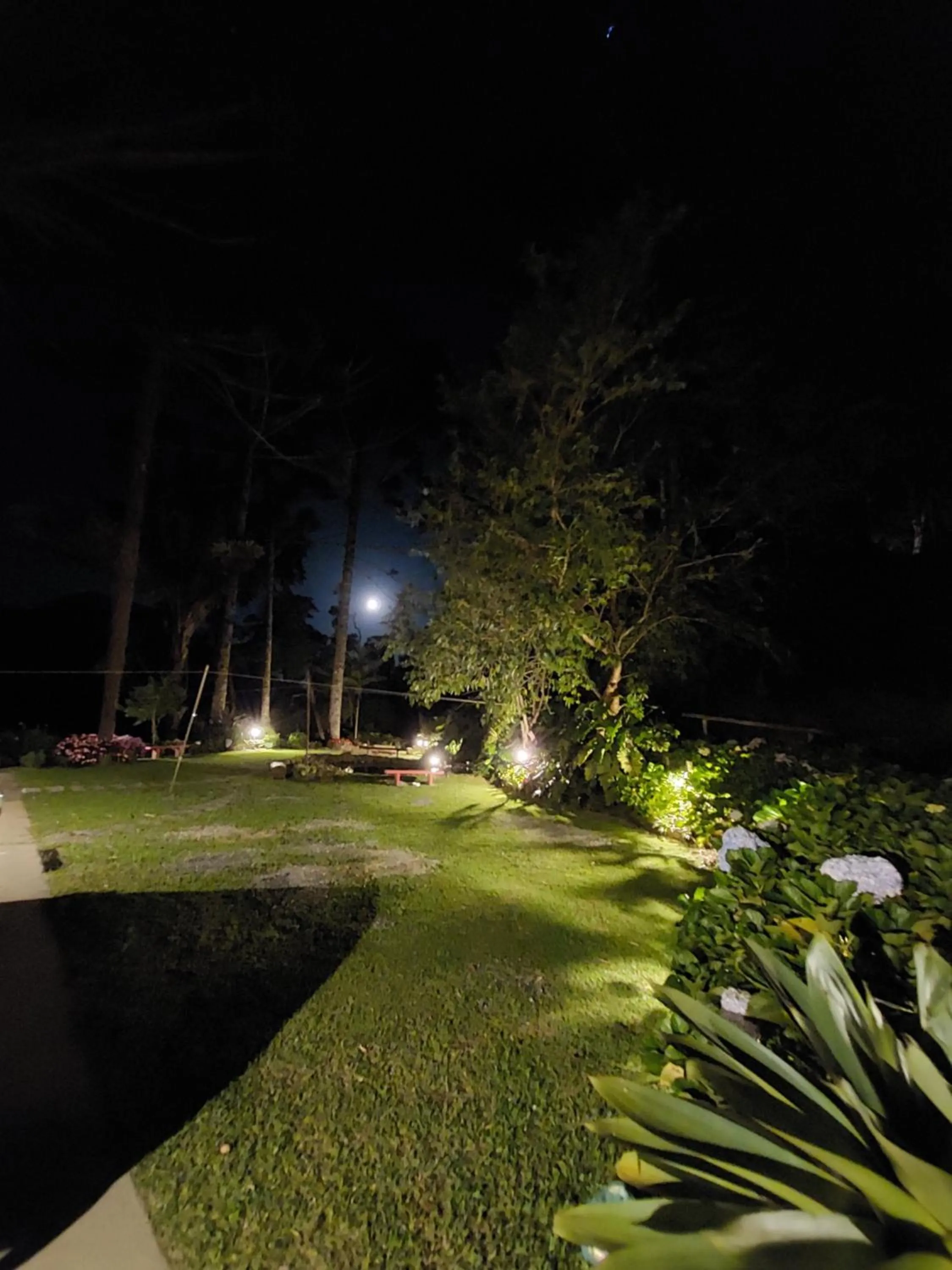 Garden in Casa no Céu