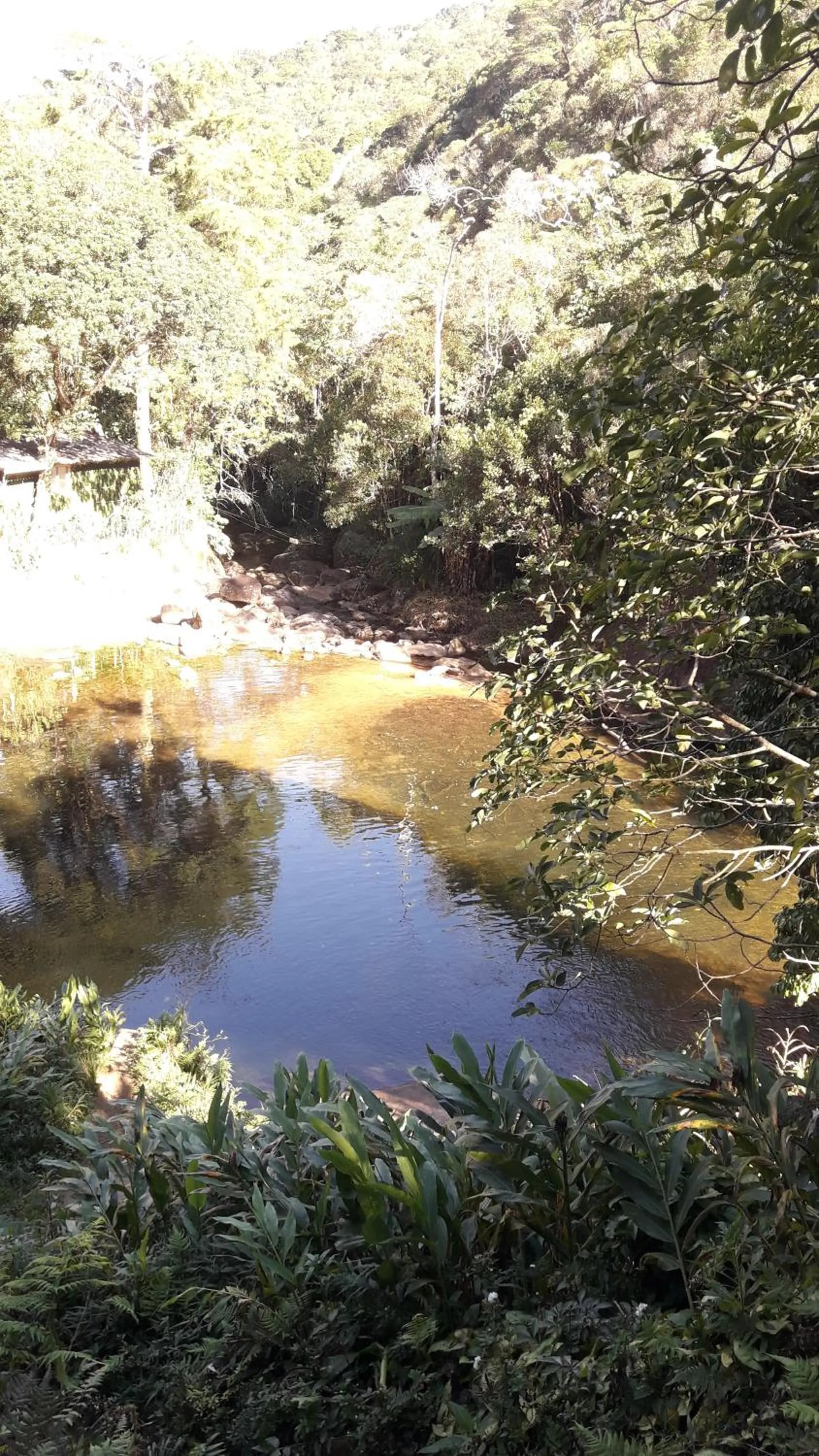 Other in Casa no Céu