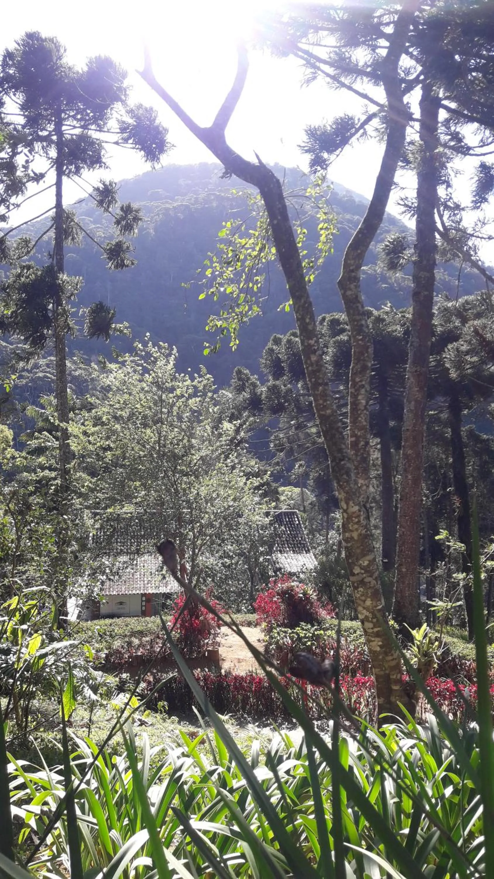 Mountain view in Casa no Céu