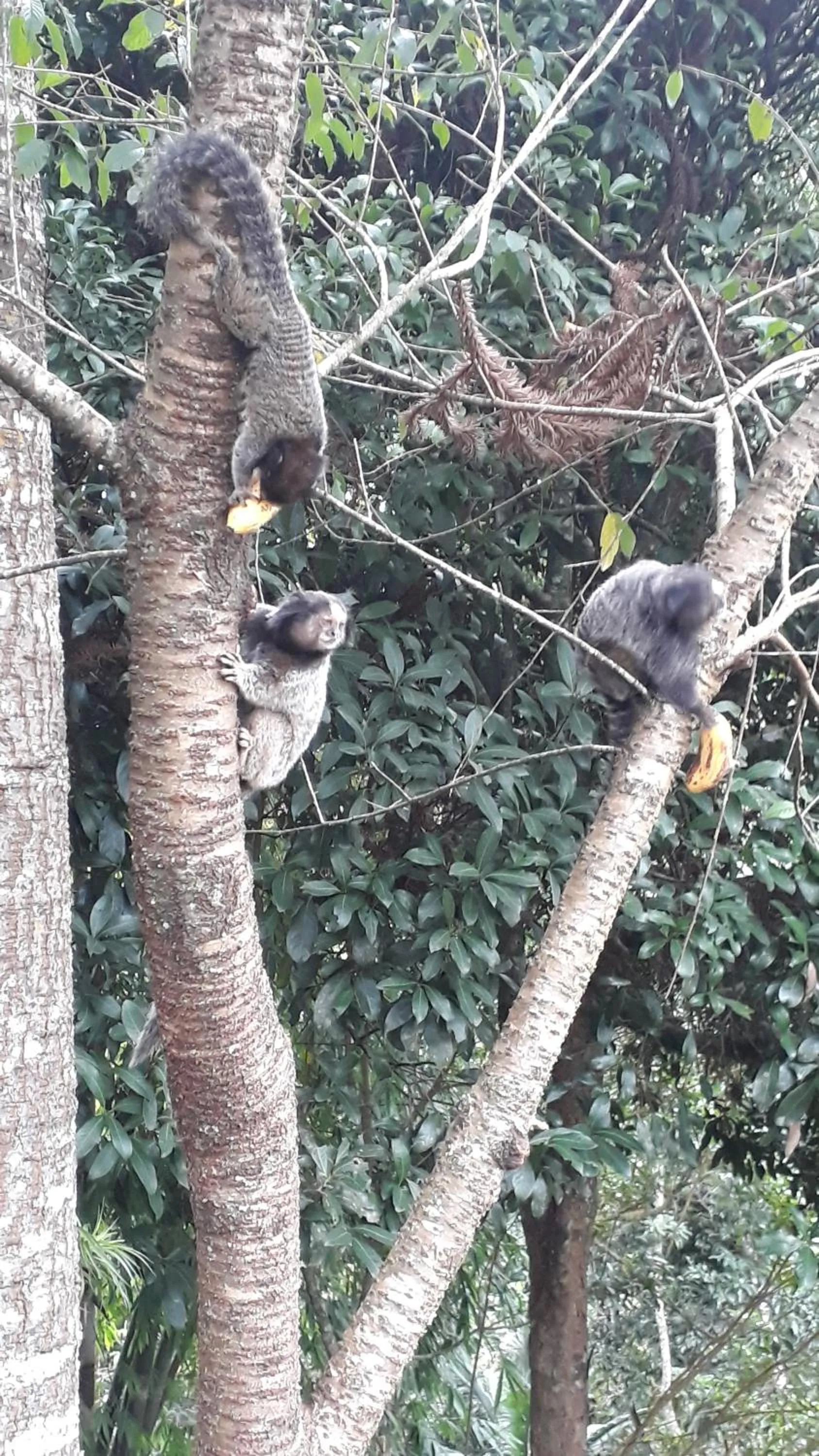 Property building in Casa no Céu