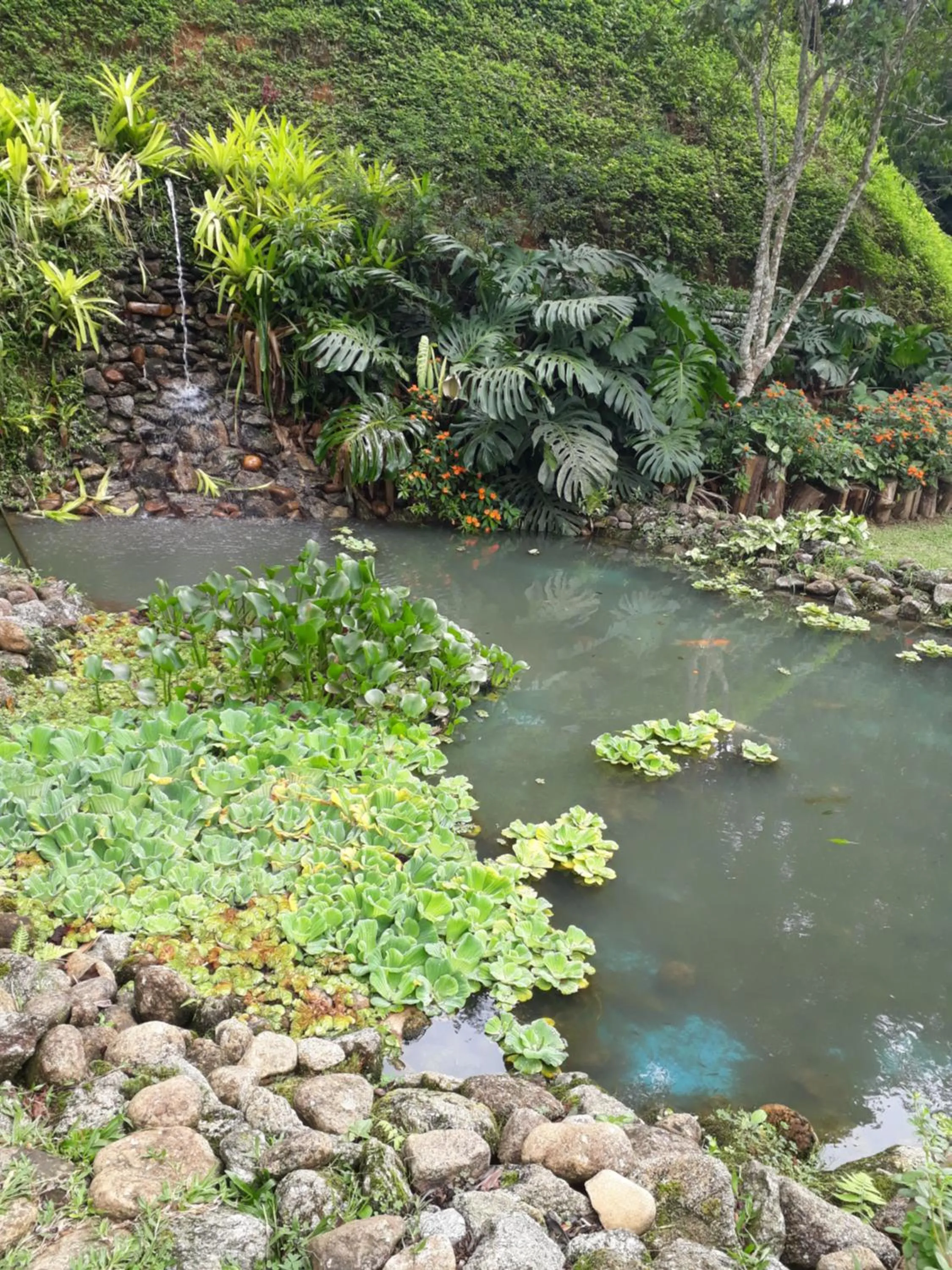 Garden in Casa no Céu