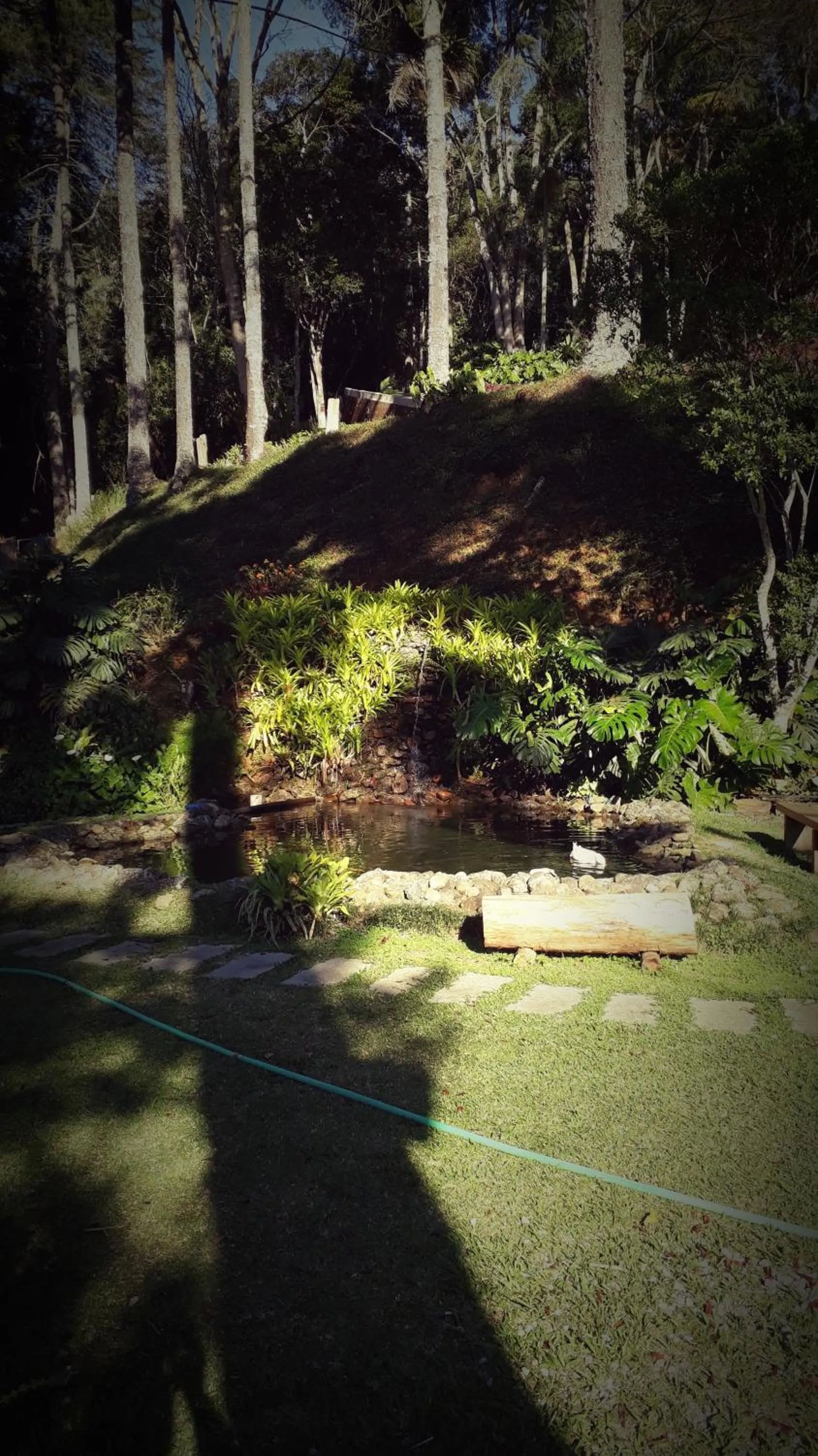 Activities in Casa no Céu