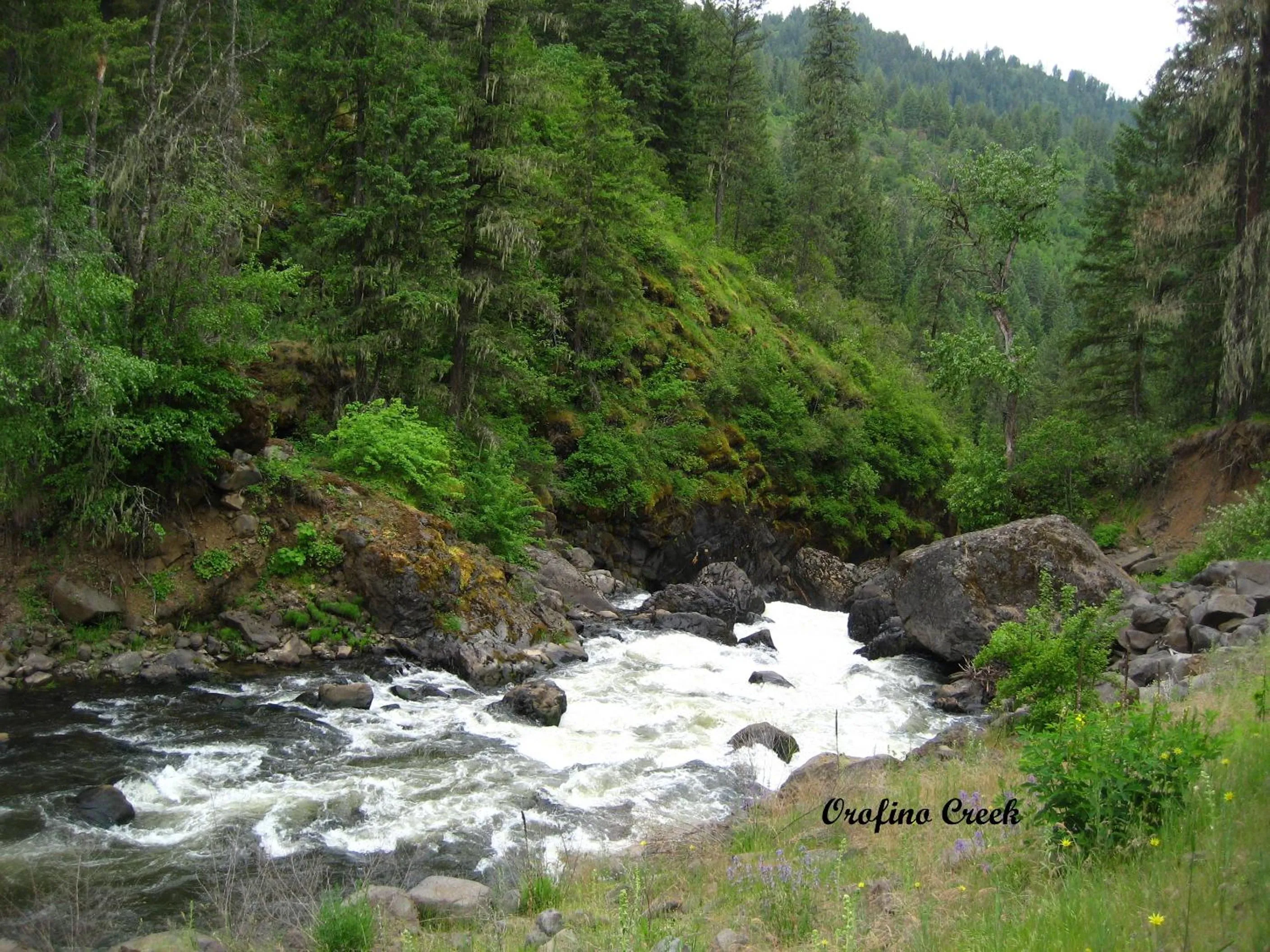 Natural landscape in Konkolville Motel