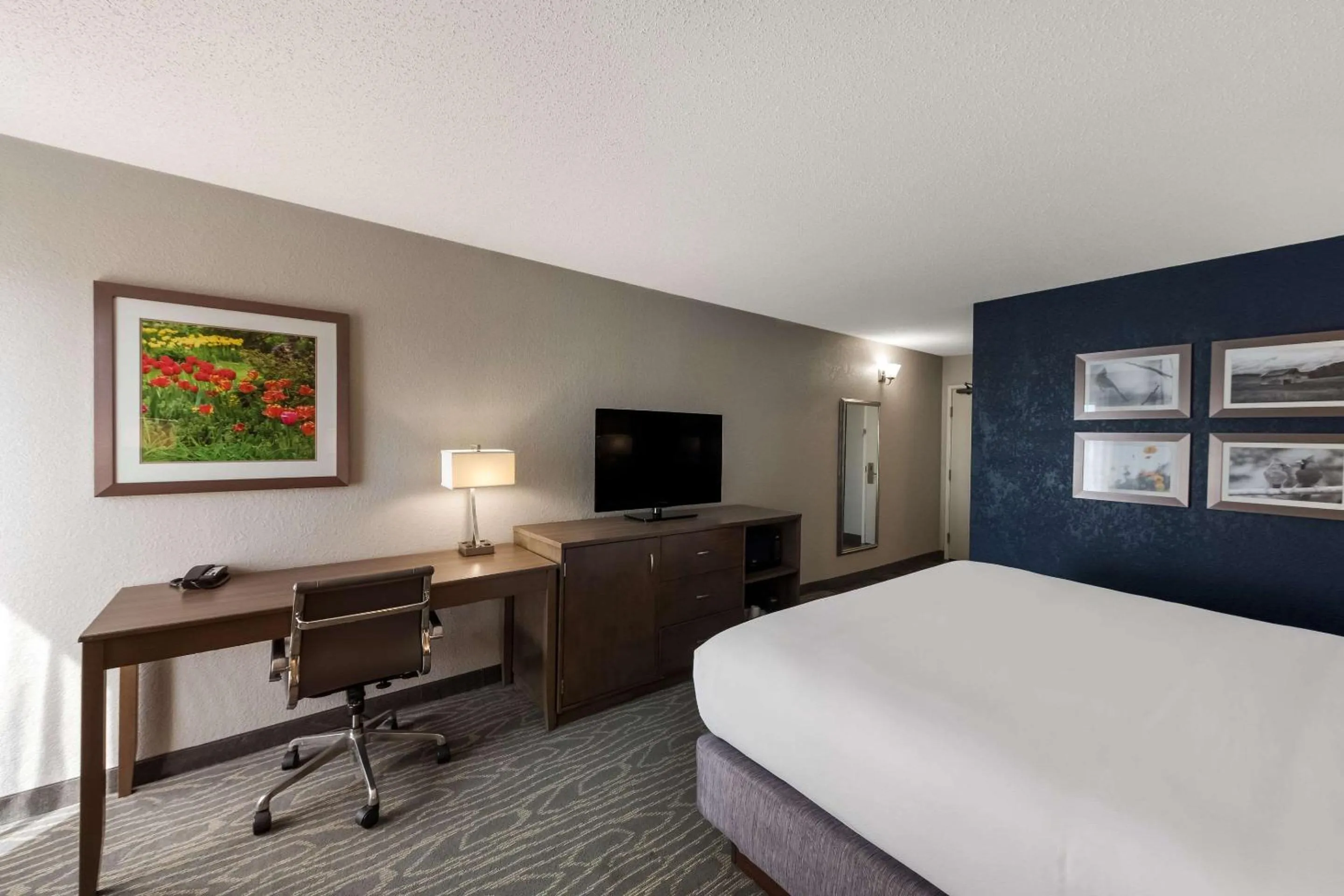 Bedroom, Bed in Comfort Inn & Suites Tipp City Dayton North I-75