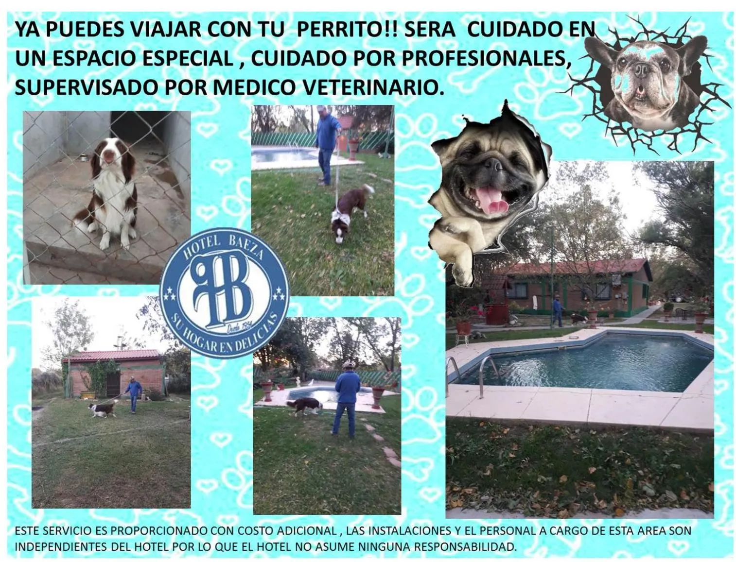 Pets in HOTEL BAEZA