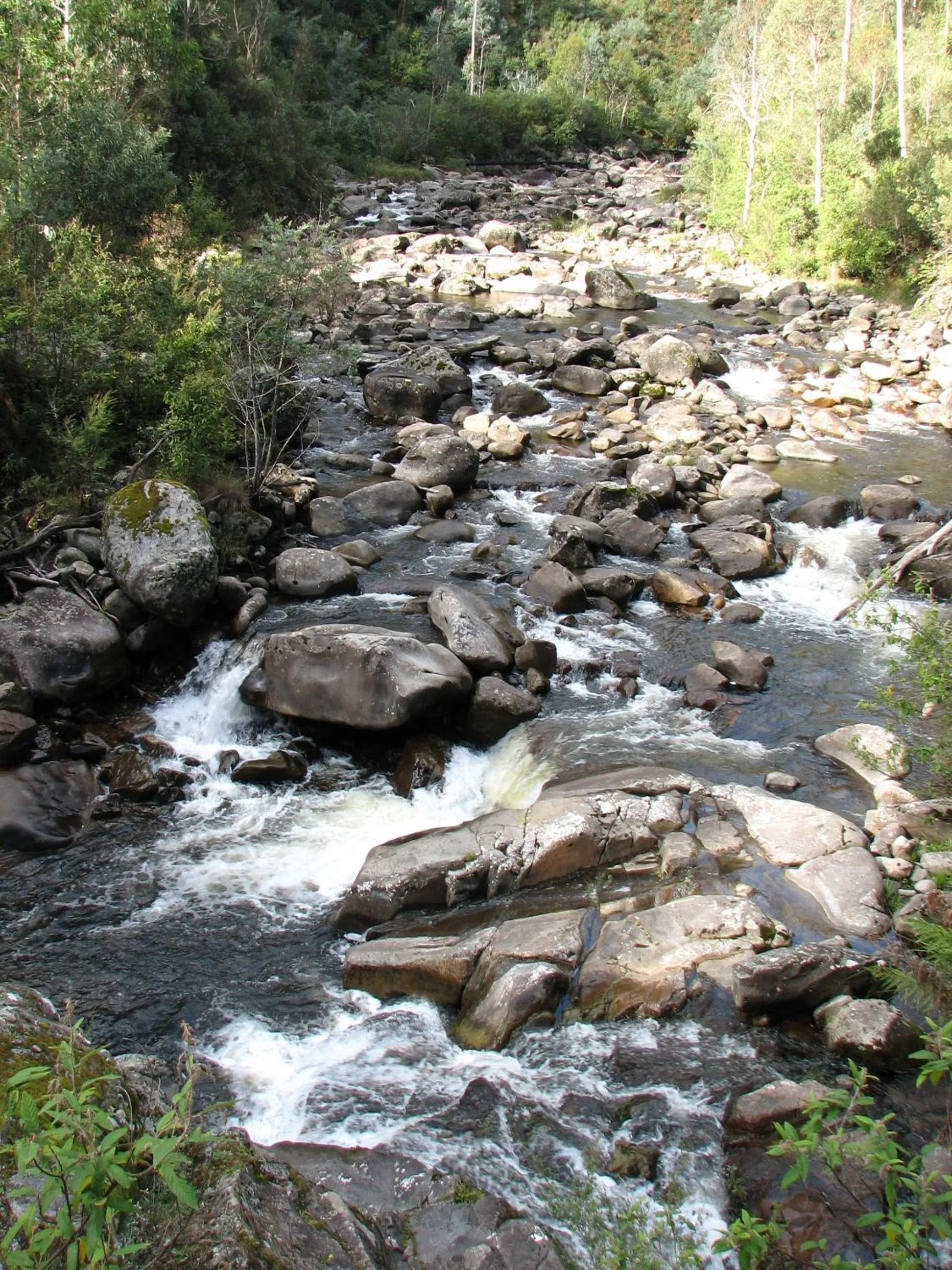 Natural landscape in Allamar Motel