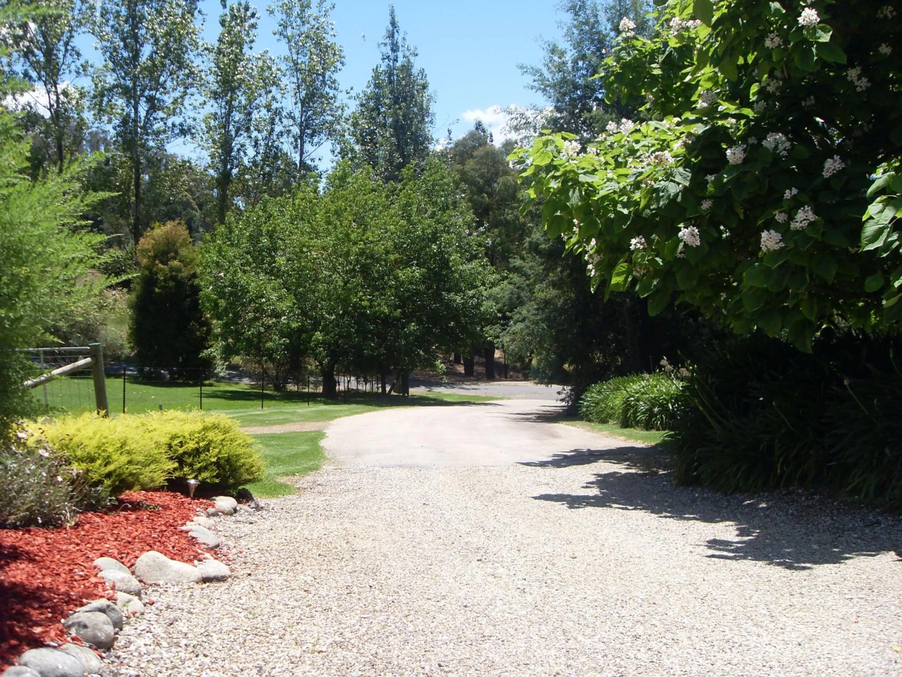 Garden in Allamar Motel