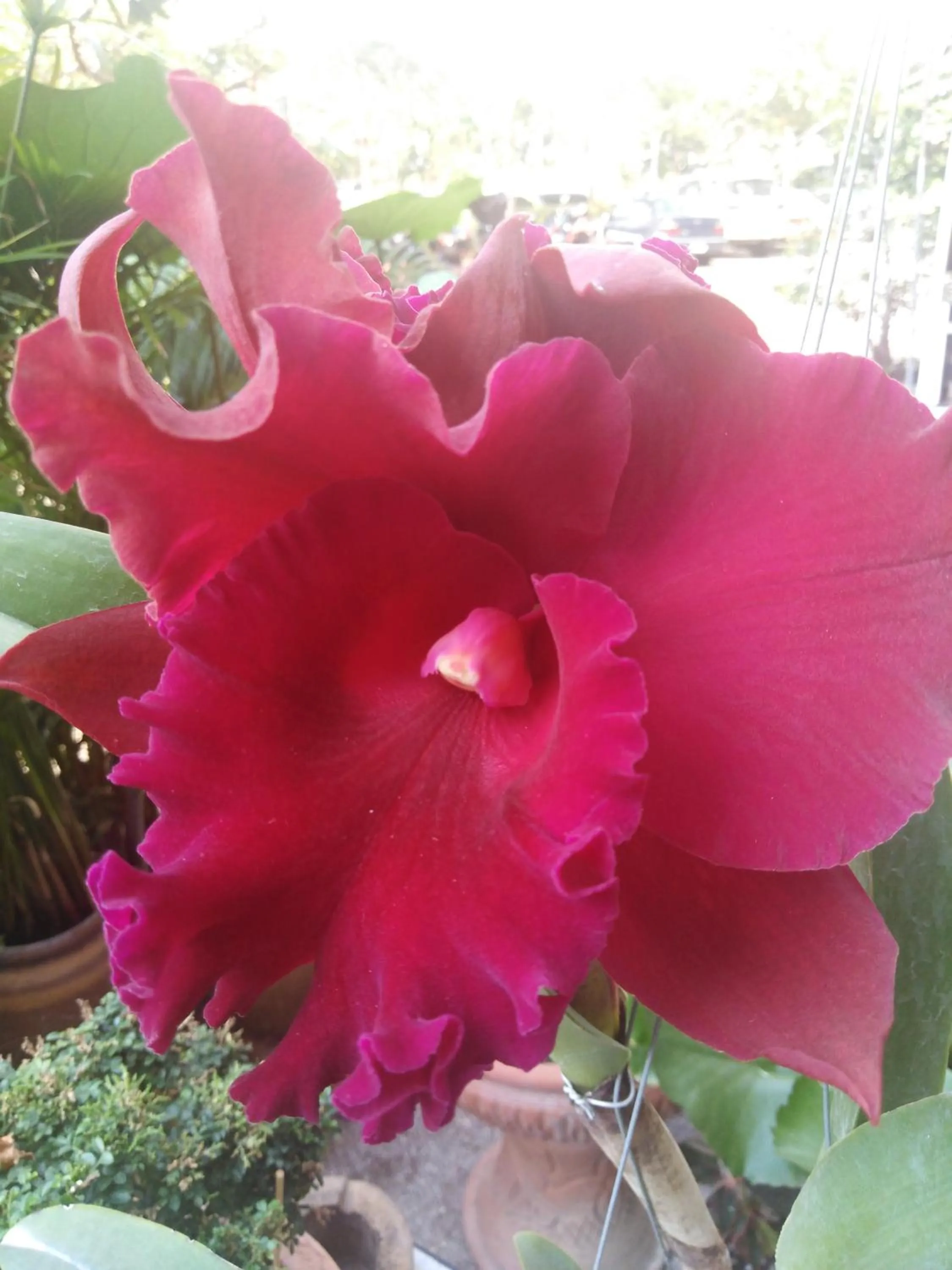 Decorative detail in B&B View Talay 1B by Franco Jontiem