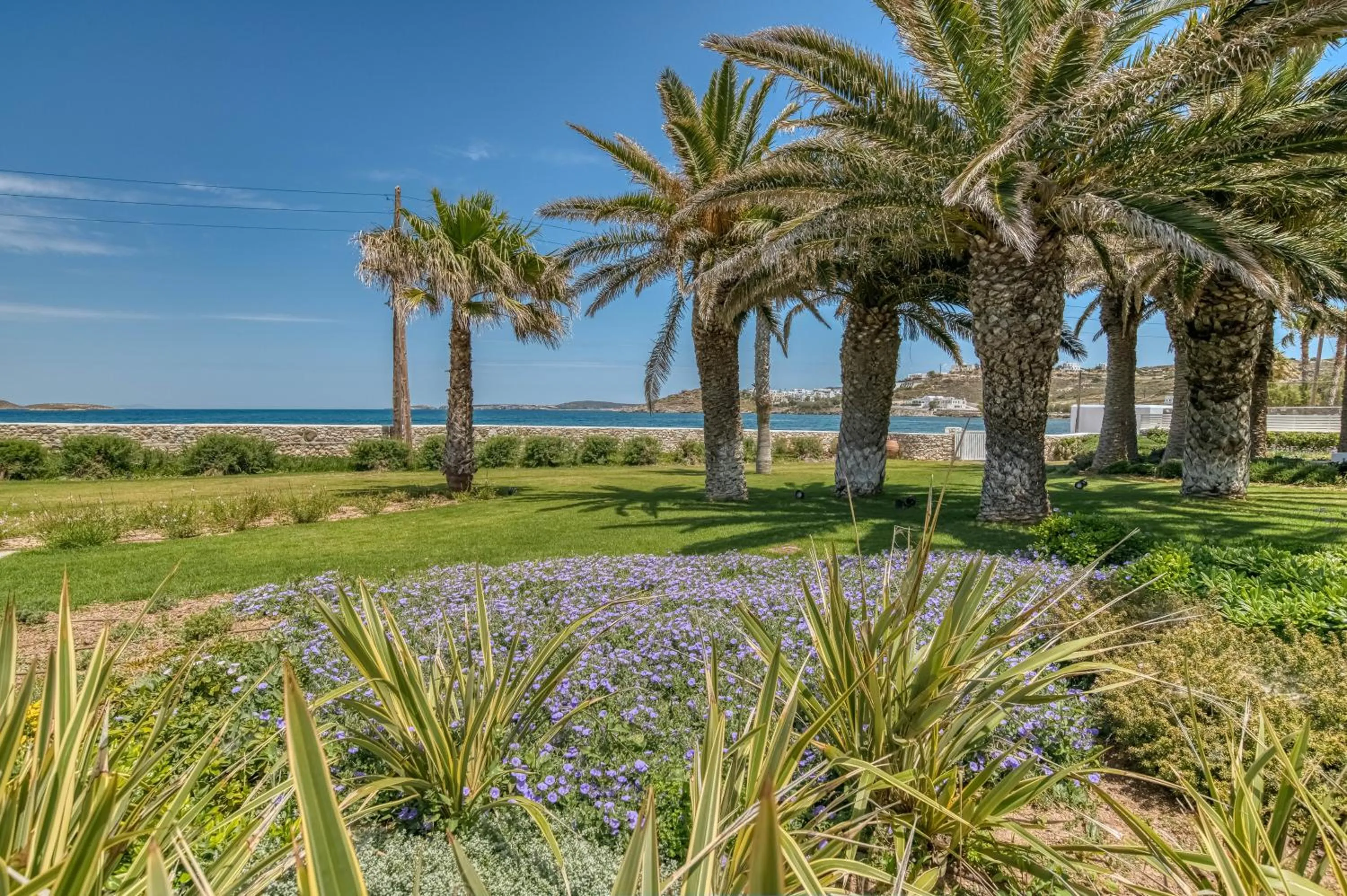 Garden view in Villa Bellonia