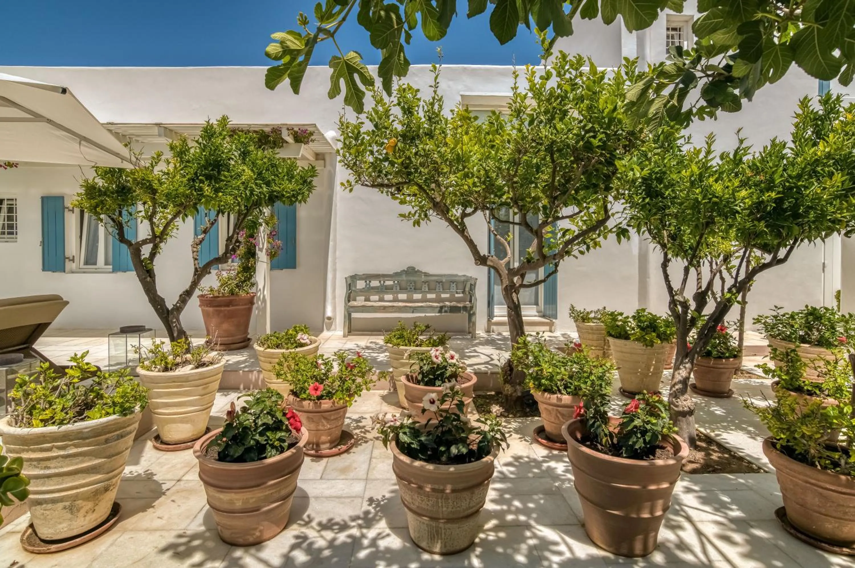 Garden view in Villa Bellonia