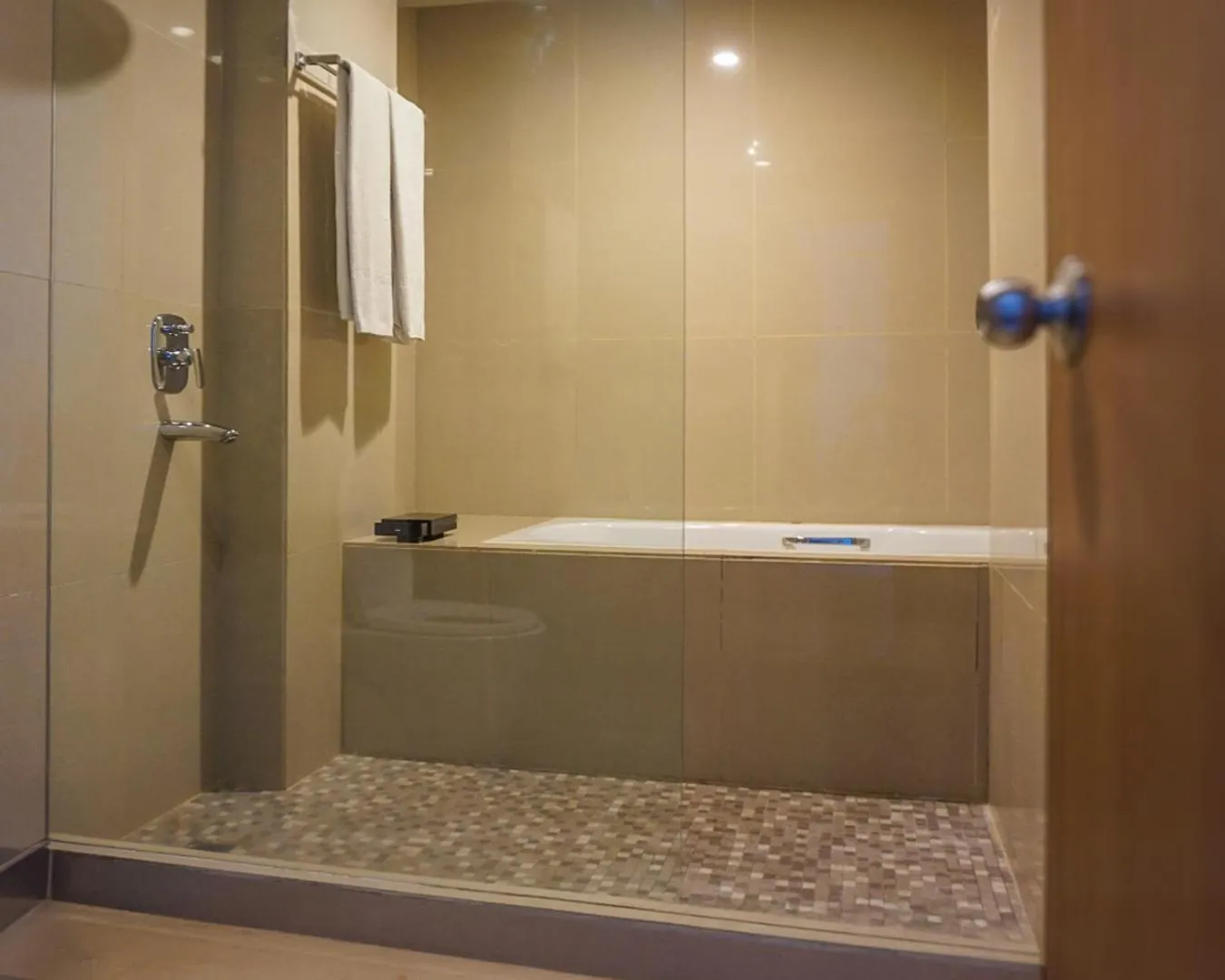 Shower in Hotel Dafam Pekanbaru