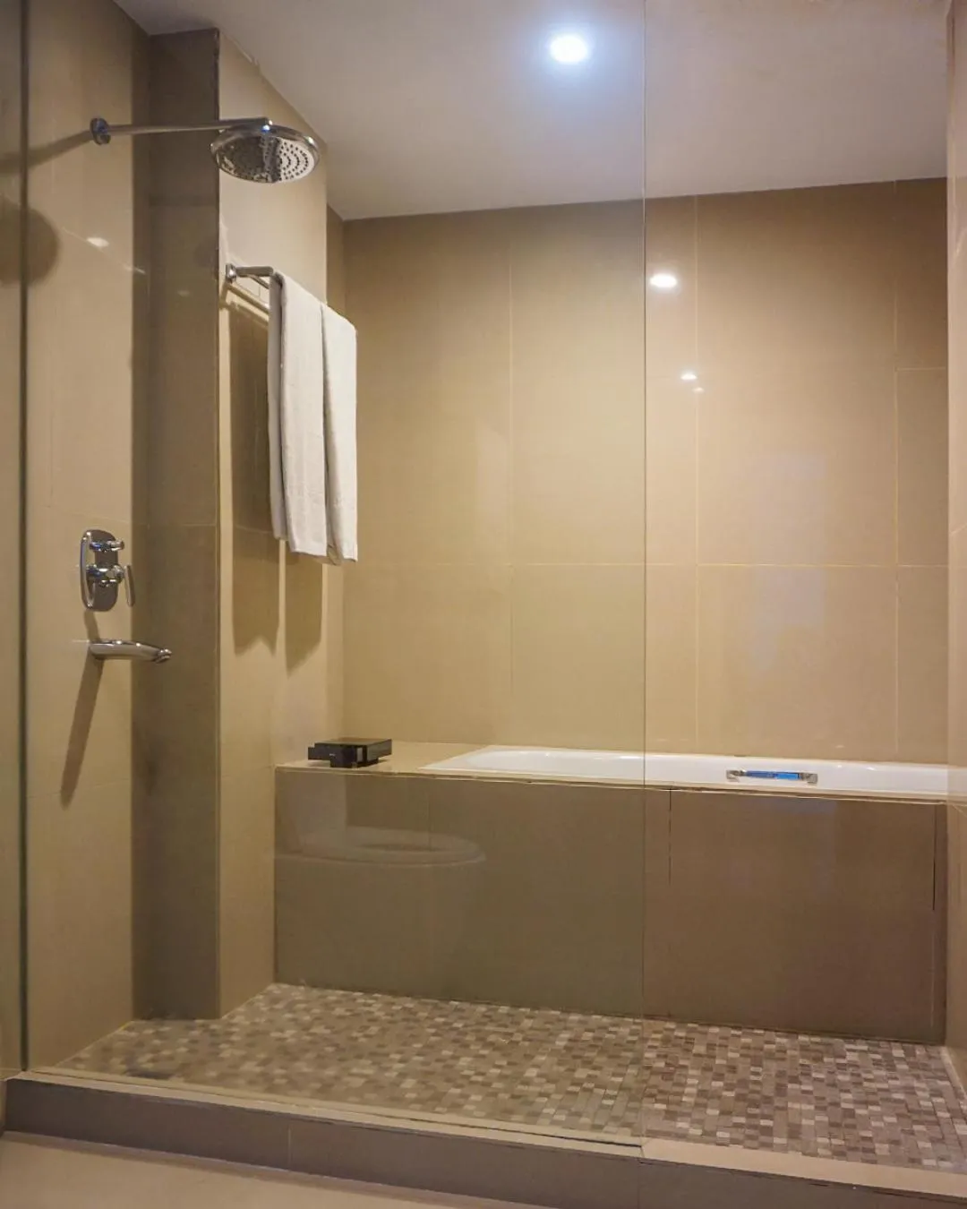 Shower in Hotel Dafam Pekanbaru