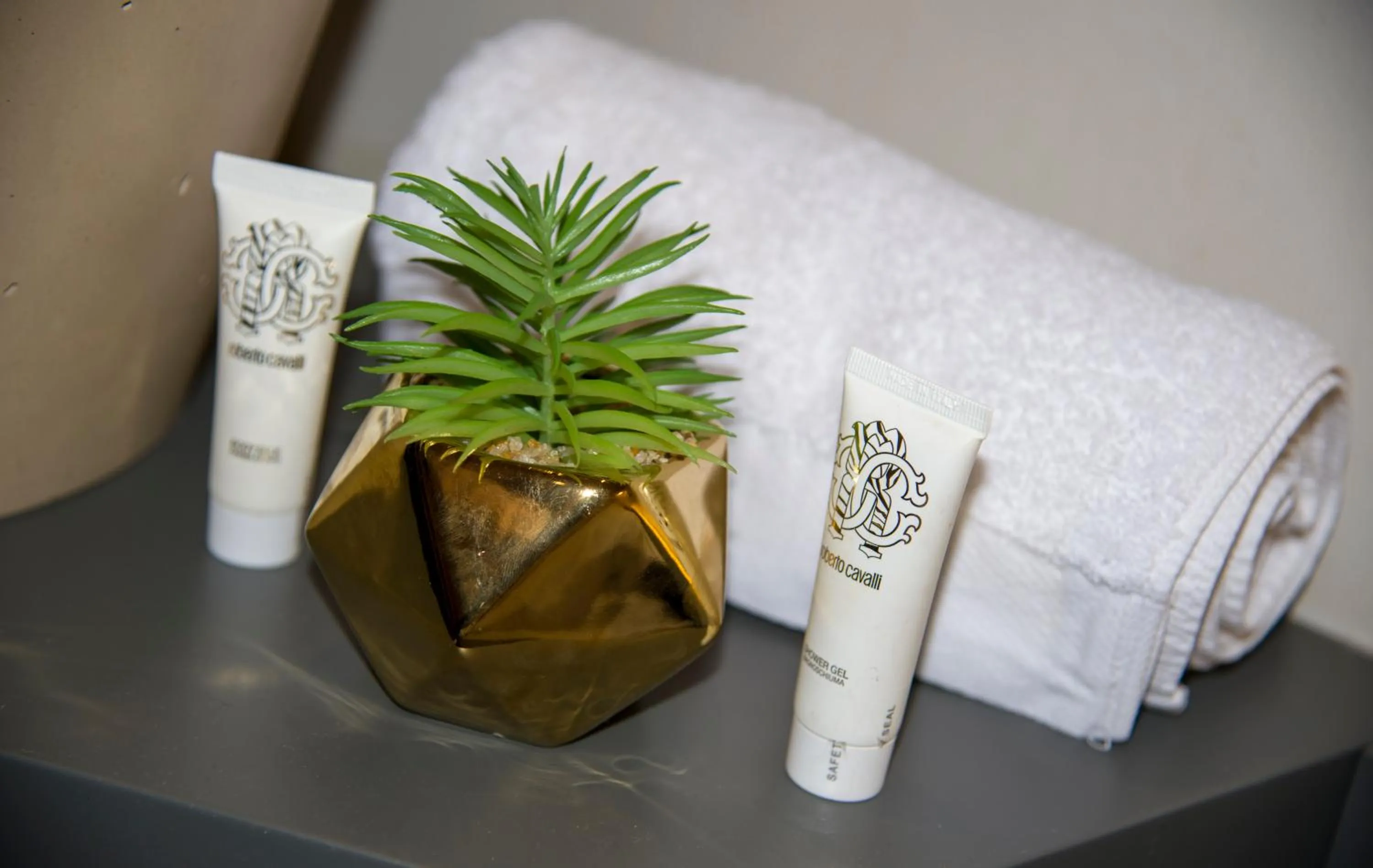 Bathroom in Cretan Berry Sarpaki