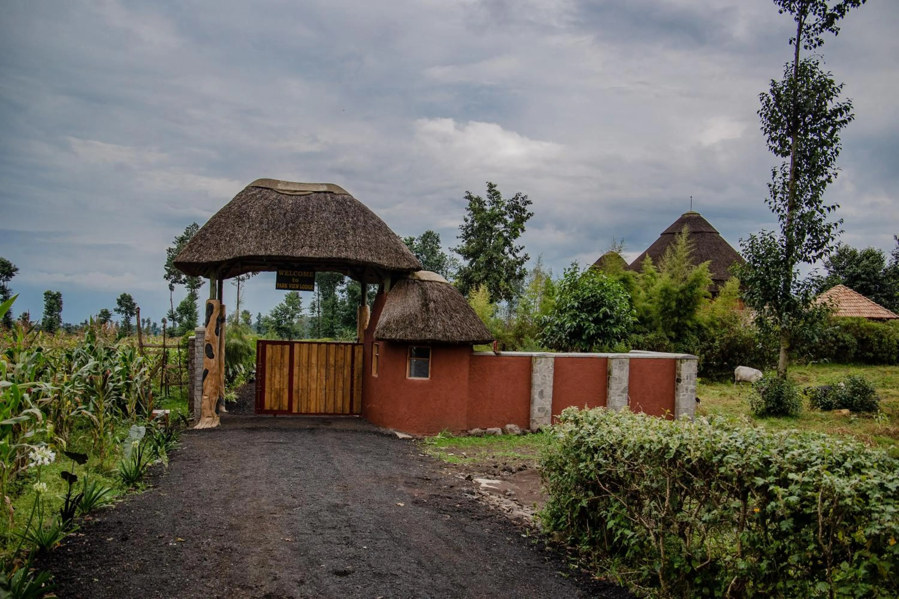 Property building in Ingagi Park View Lodge