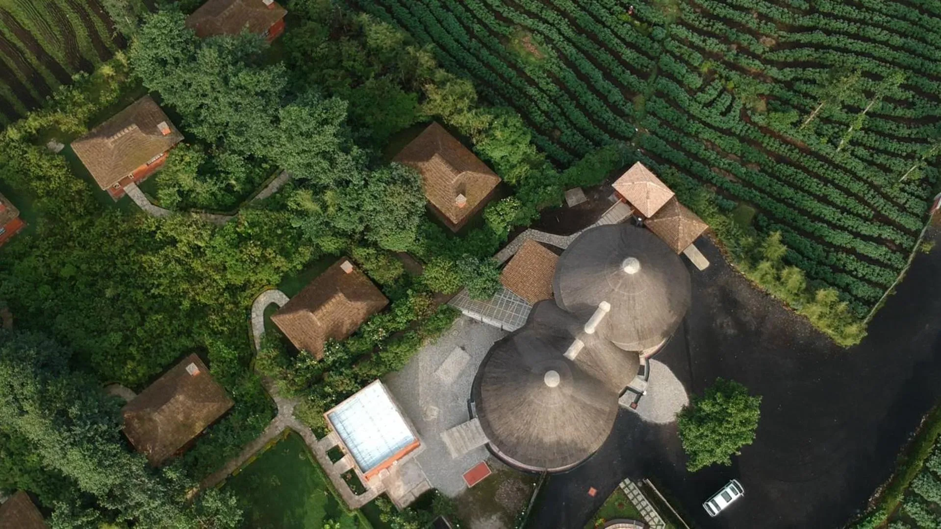 Ingagi Park View Lodge