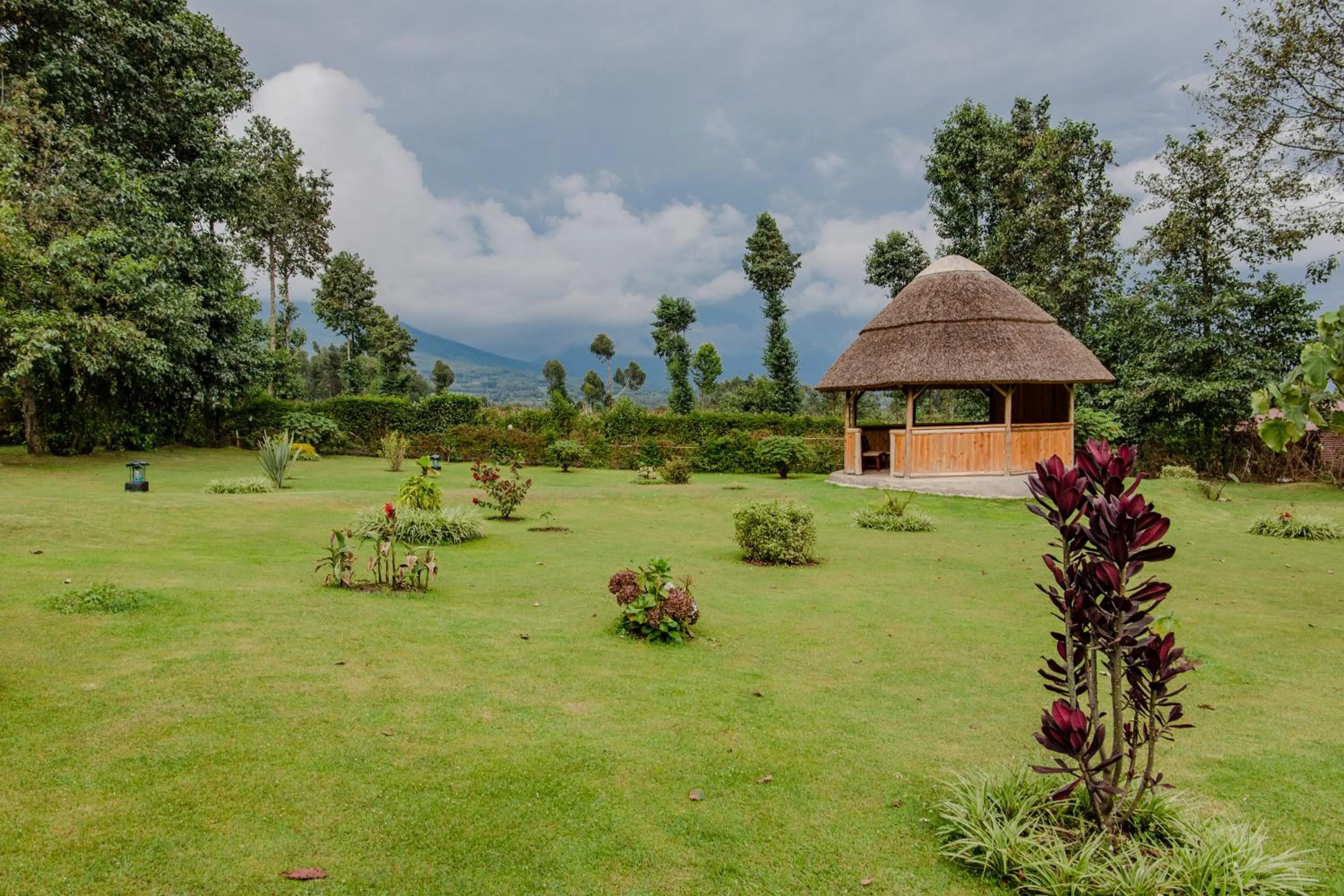 Garden in Ingagi Park View Lodge
