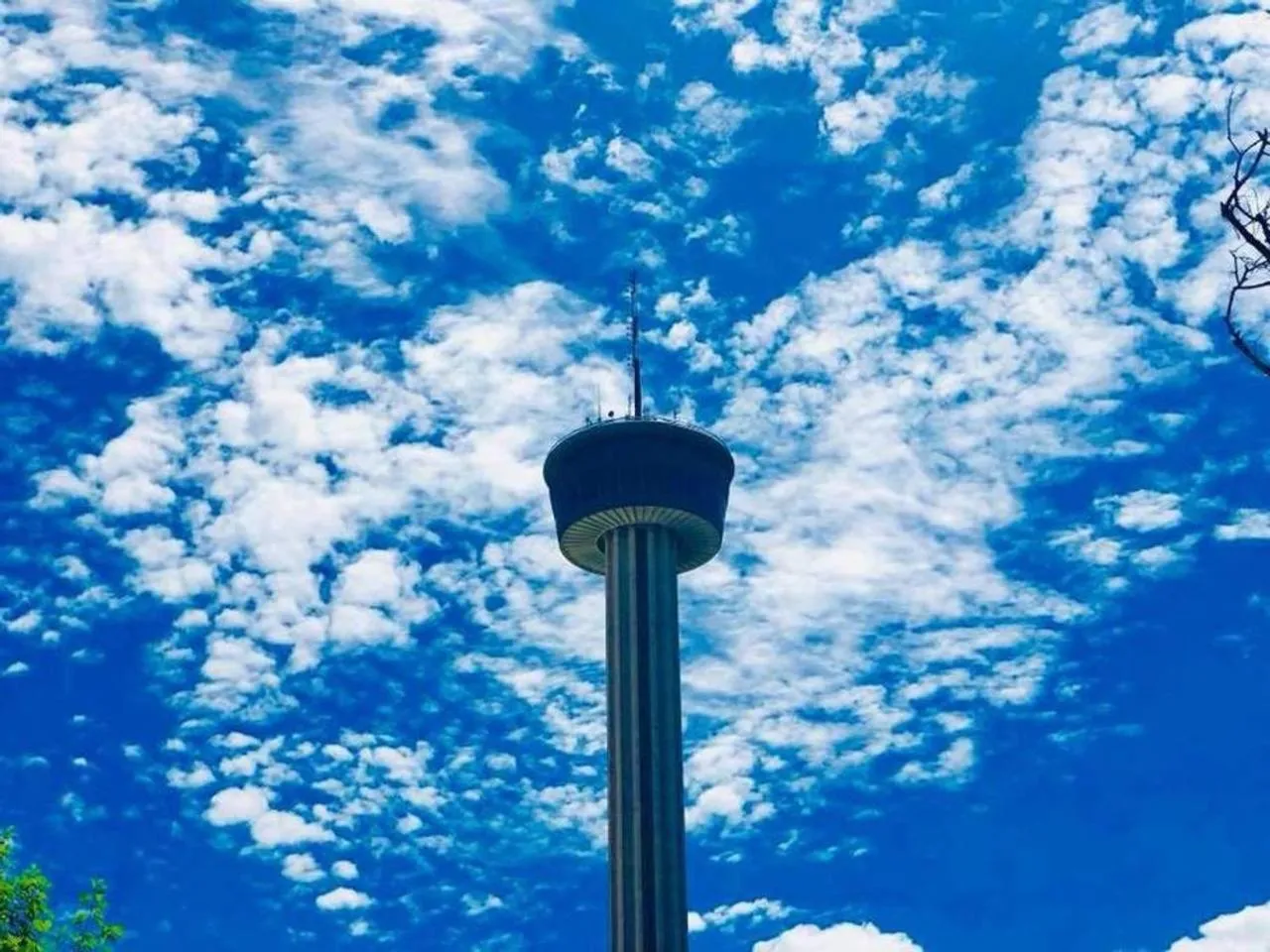 Hackberry St #B Renovated 2BR Near Downtown SA