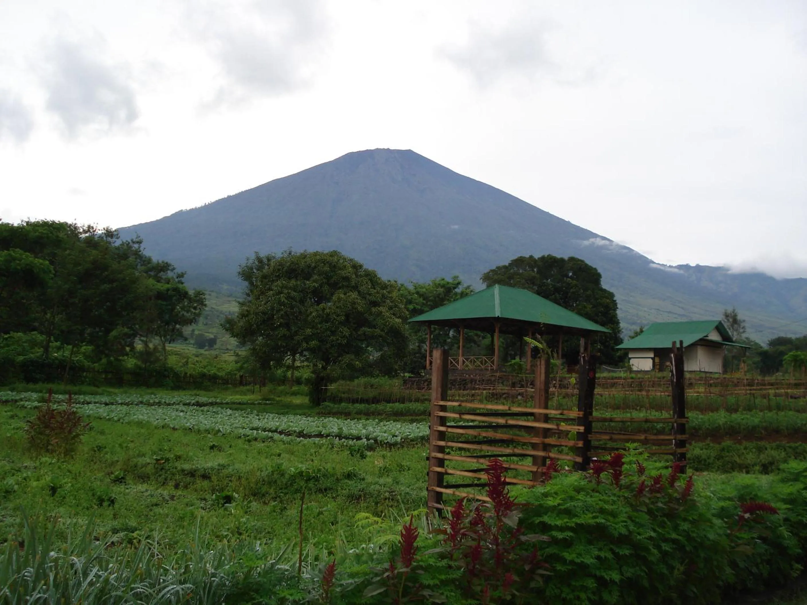 Nearby landmark in Lembah Rinjani Villa & Resto Syariah by ecommerceloka