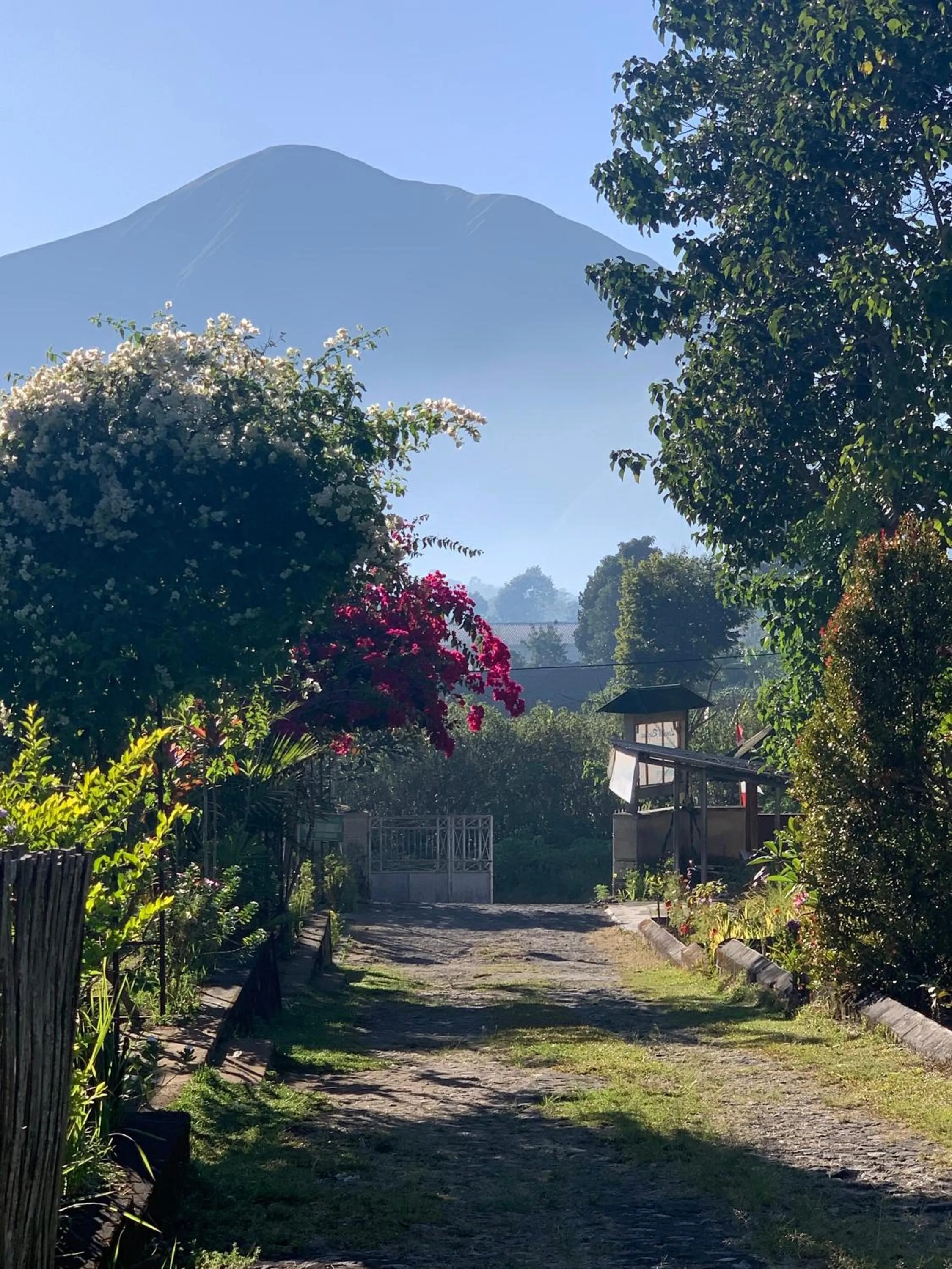 Mountain view in Lembah Rinjani Villa & Resto Syariah by ecommerceloka