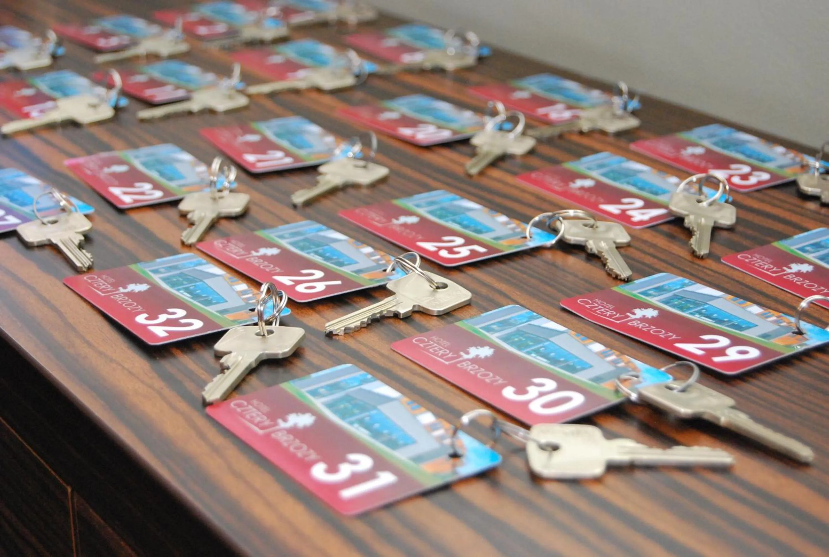 Decorative detail in Hotel Cztery Brzozy Gdańsk Kowale