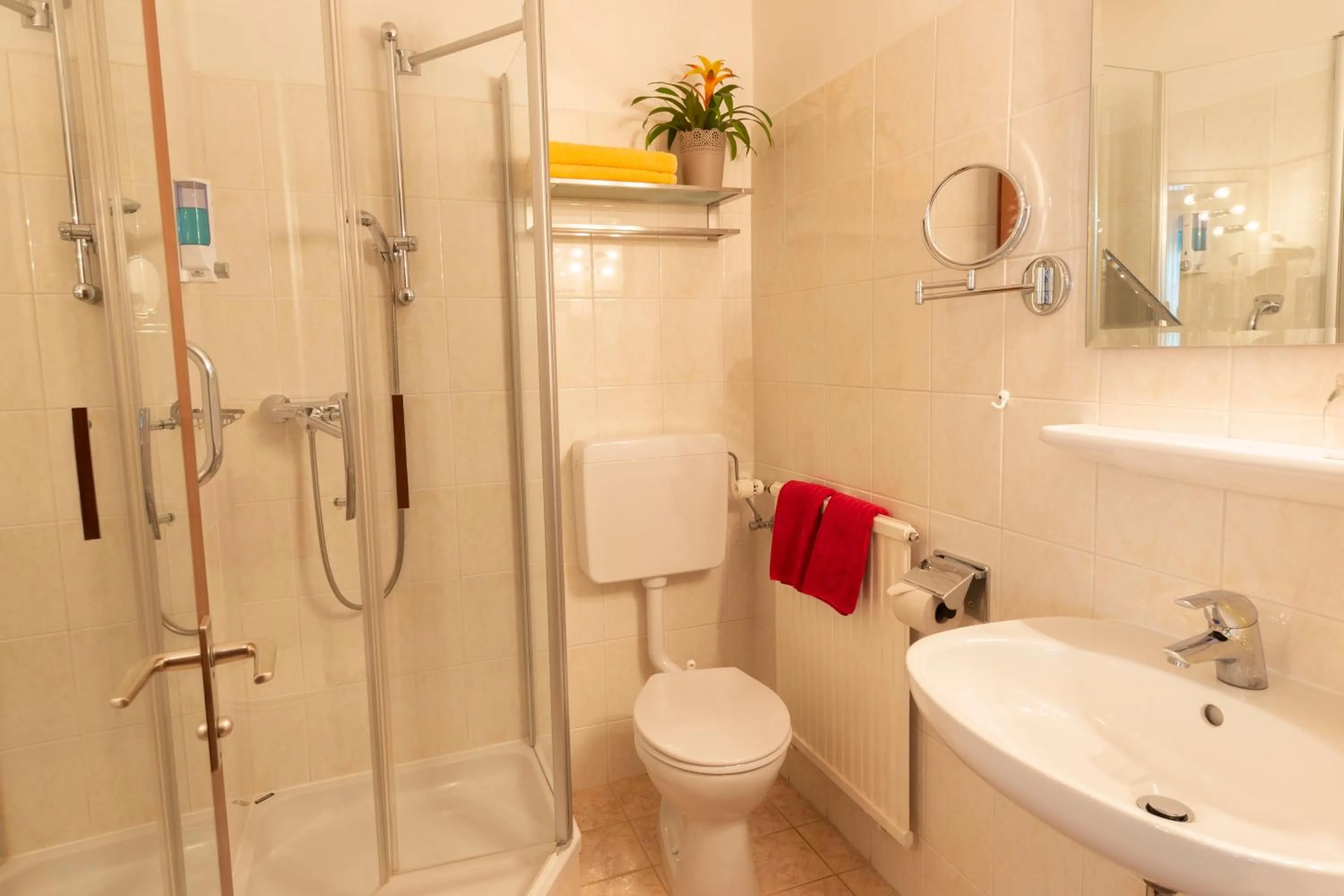 Shower in Hotel Cebulj